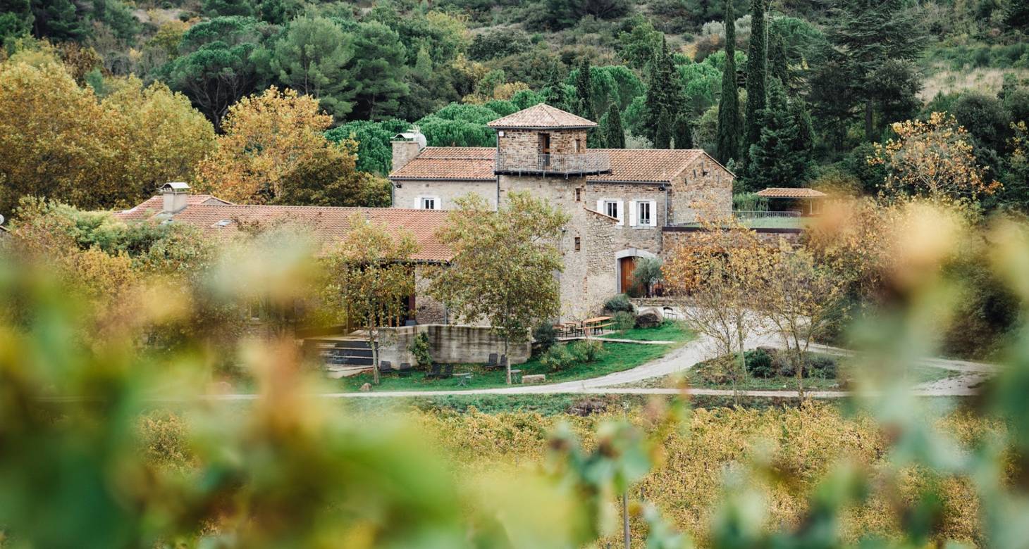 Que faire à Carcassonne ? Visiter la cité médiévale et ses remparts - 2026 - 19 - que faire a carcassonne que faire a carcassonne - Que faire à Carcassonne ? Visiter la cité médiévale et ses remparts - 2026 - 18