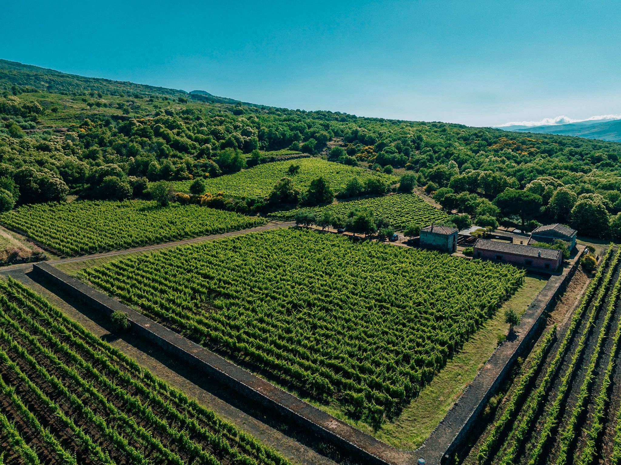 Visitez l'Etna - Visitez l'Etna en Sicile : Explorez le volcan le plus actif d'Europe - 2025 - 35
