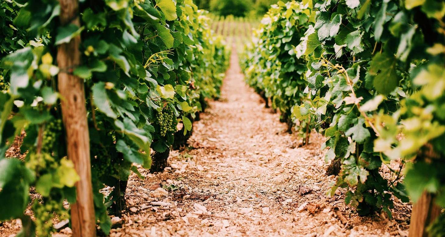 Visiter la Bourgogne en 3 jours : les incontournables - 2026 - 14 - week end en bourgogne,visiter la bourgogne en 3 jours week end en bourgogne,visiter la bourgogne en 3 jours - Visiter la Bourgogne en 3 jours : les incontournables - 2026 - 13