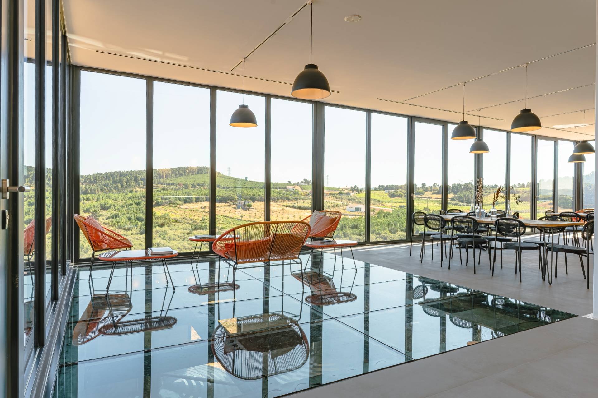 Martha's Wines and Spirits - Winalist