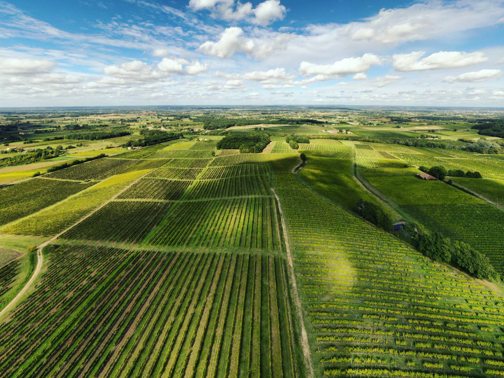 Domaine Haut Montlong - Winalist