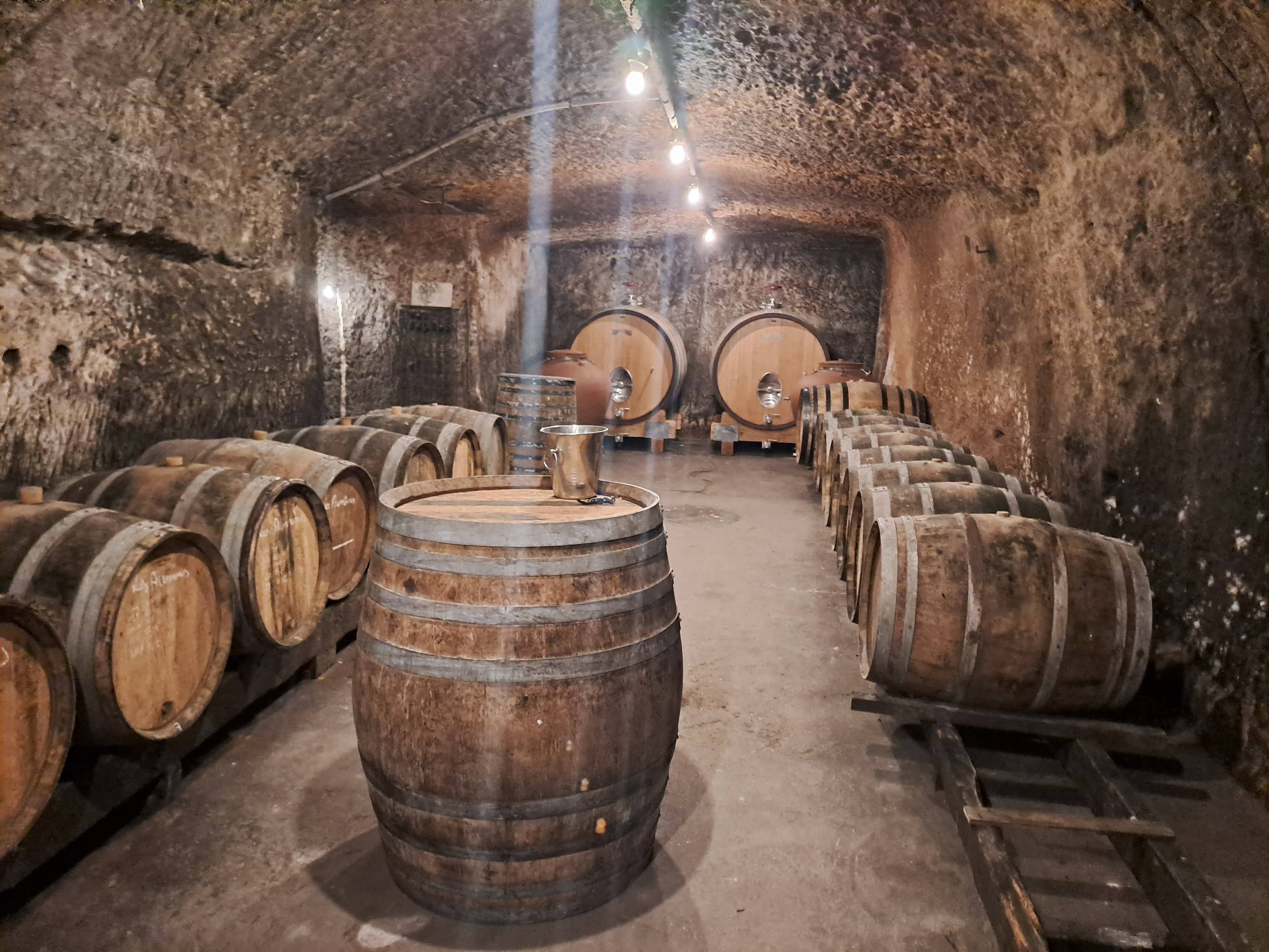 Tour privato di mezza giornata nella Valle della Loira