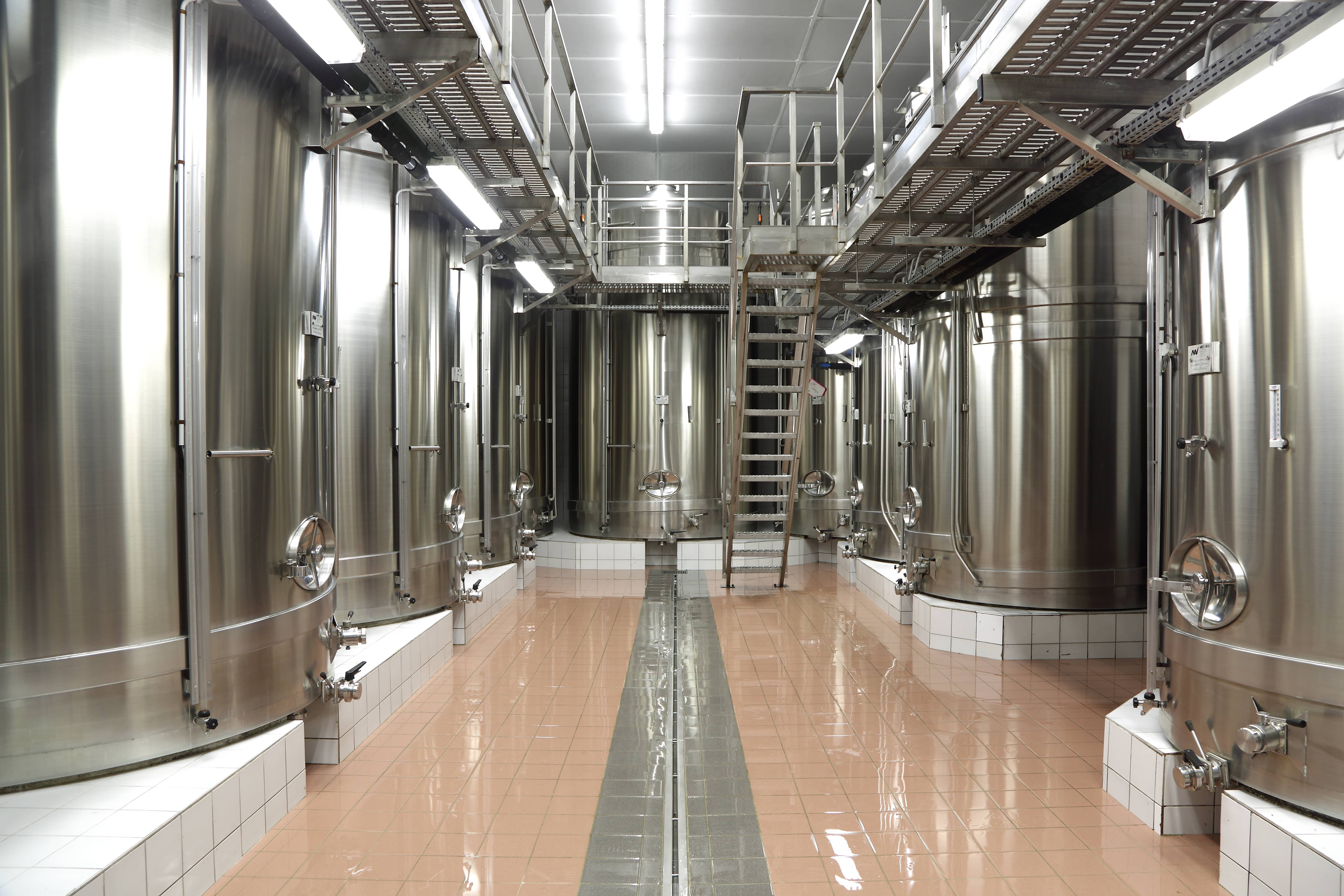 Cellar visit and tasting of a cuvée - Domaine Bauchet - Winalist