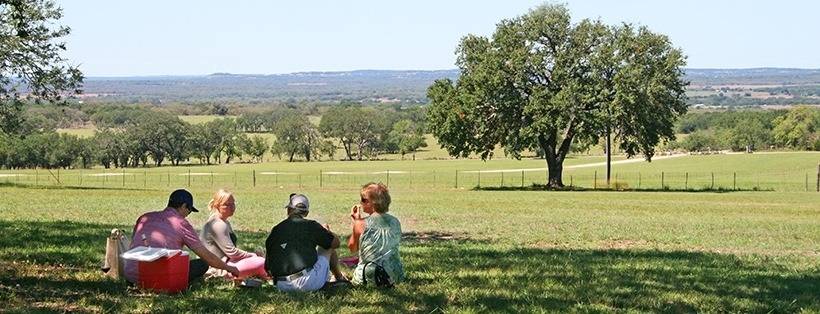 Pedernales Cellars - Winalist