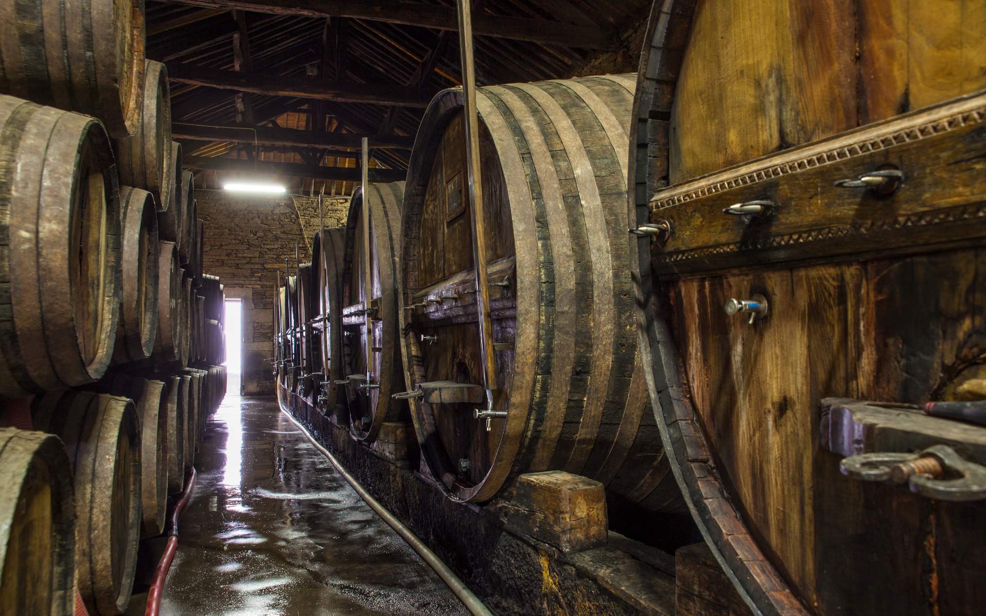 Quinta do Infantado - Winalist