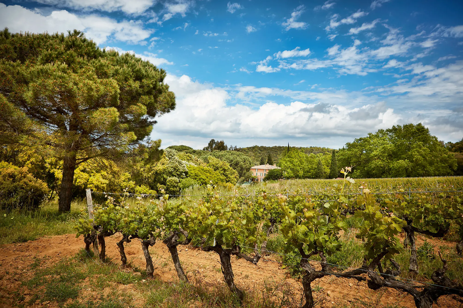 Visiter Saint-Tropez : Notre guide des meilleures choses à faire - 2026 - 26 - visite saint tropez visite saint tropez - Visiter Saint-Tropez : Notre guide des meilleures choses à faire - 2026 - 25