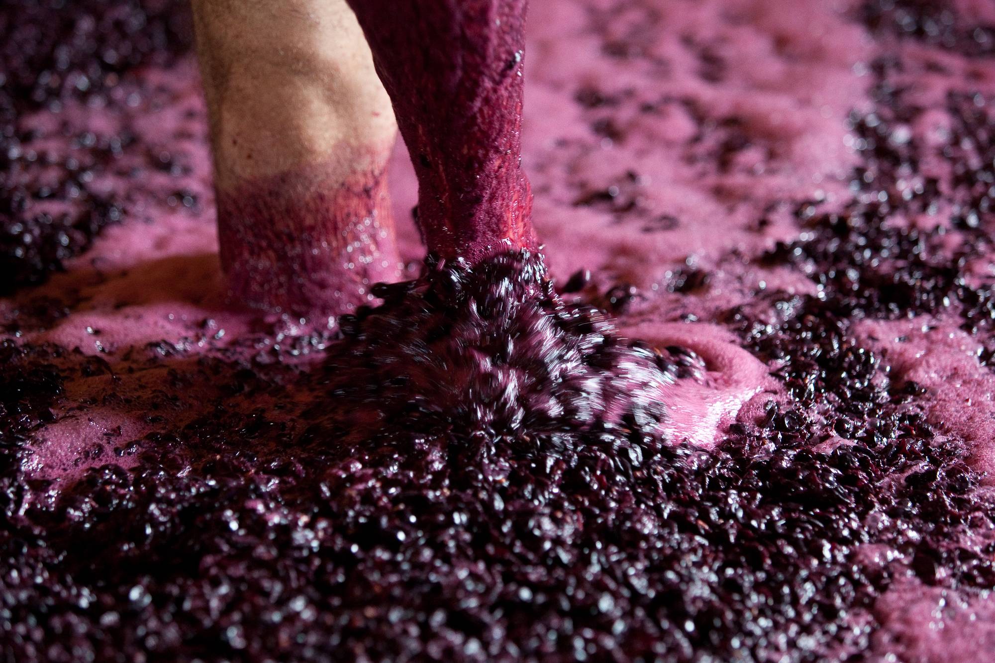 Degustazione Classica