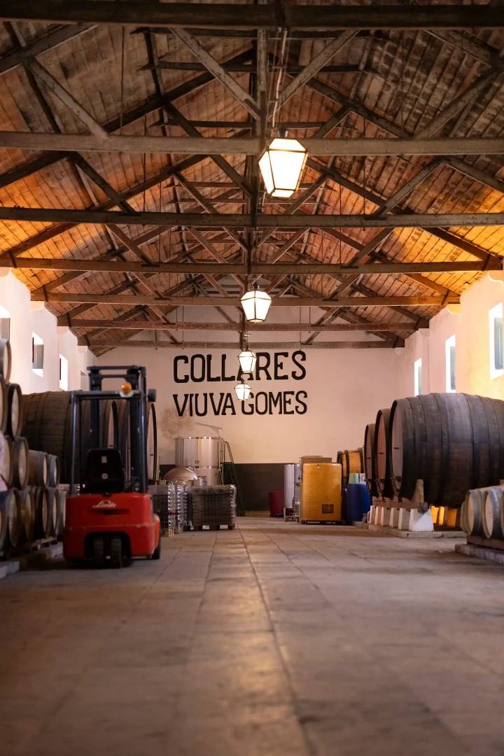 Viuva Gomes - Winalist