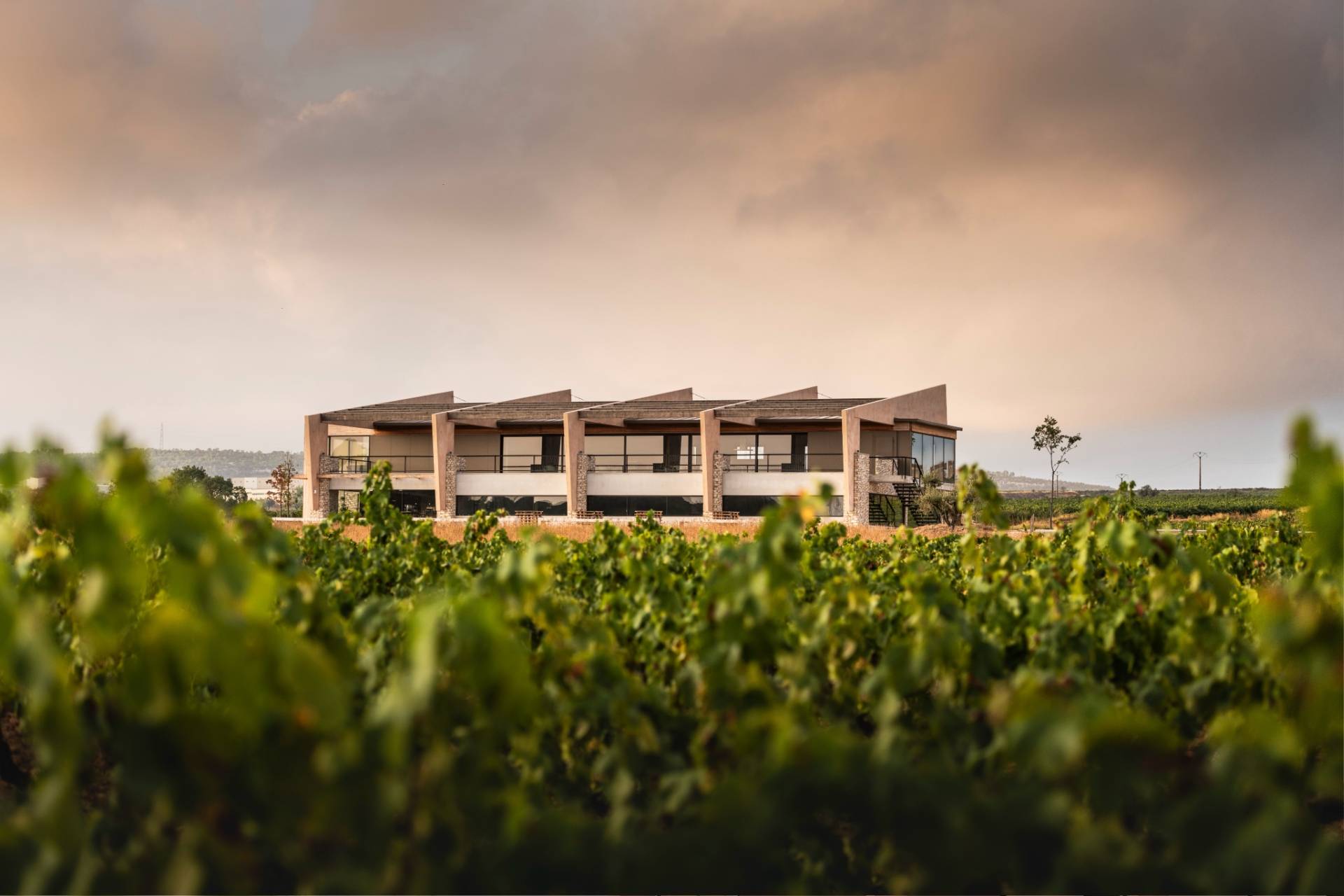 Celler At Roca - Winalist