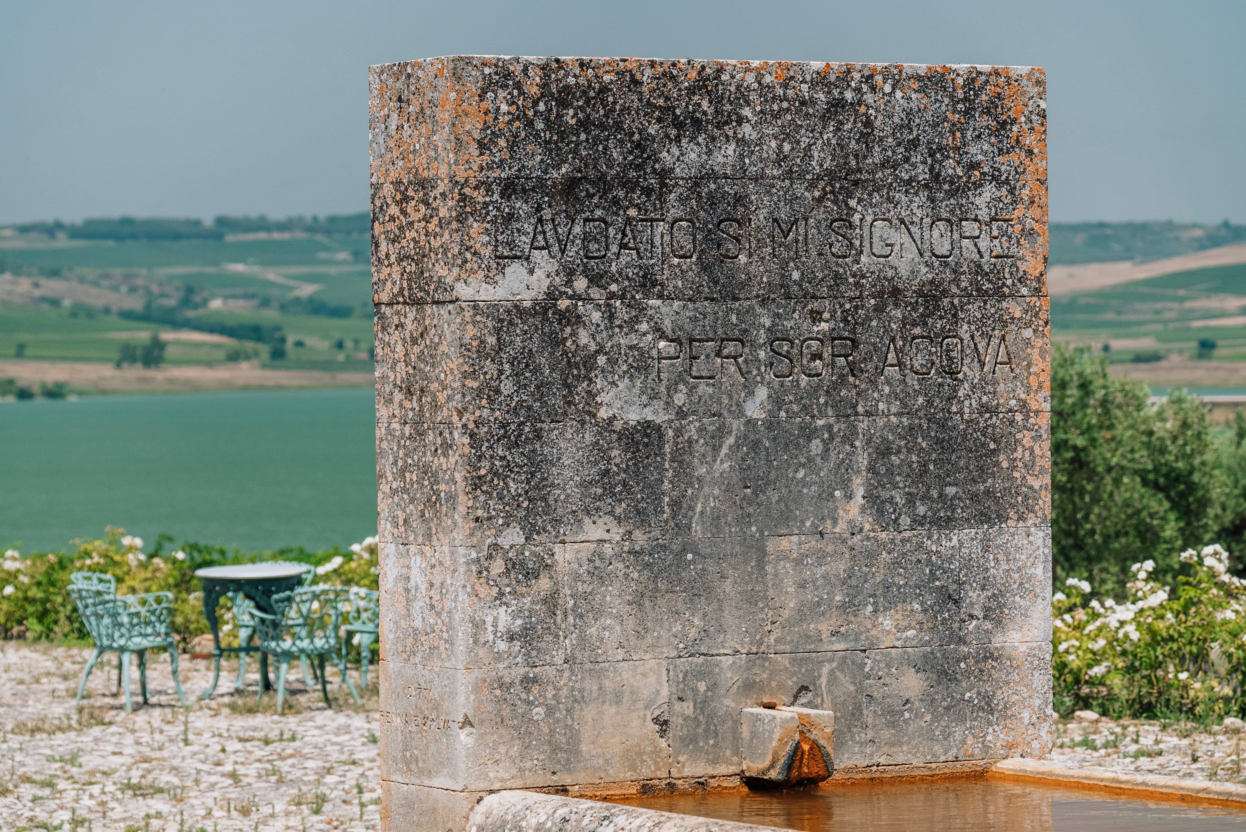 Planeta Ulmo Tour & Tasting 2026 ⭐️ Book your Visit Now!