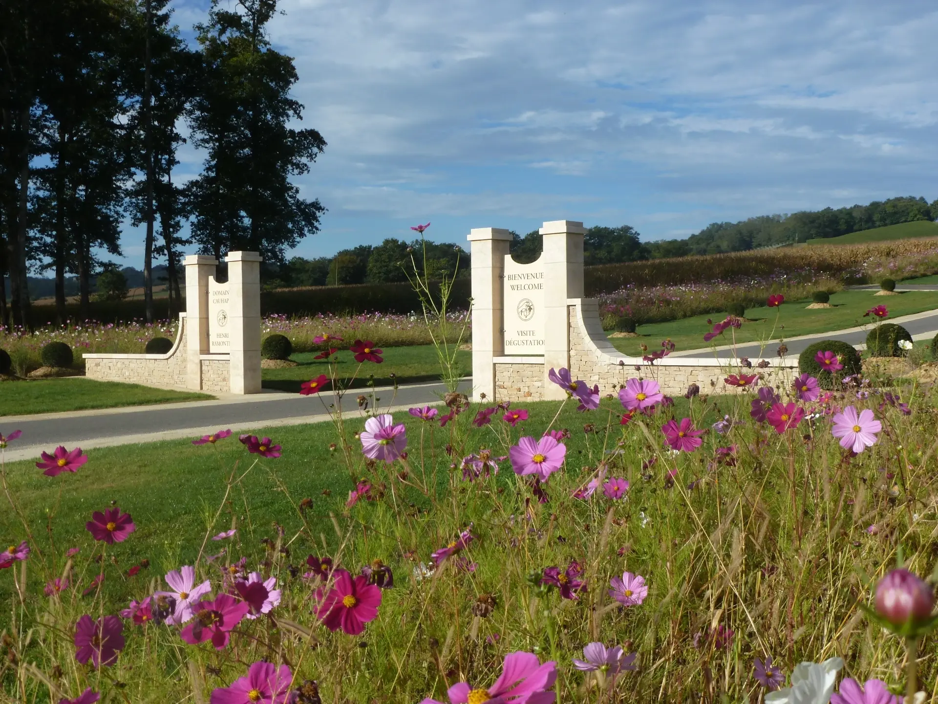 Domaine Cauhapé - Winalist