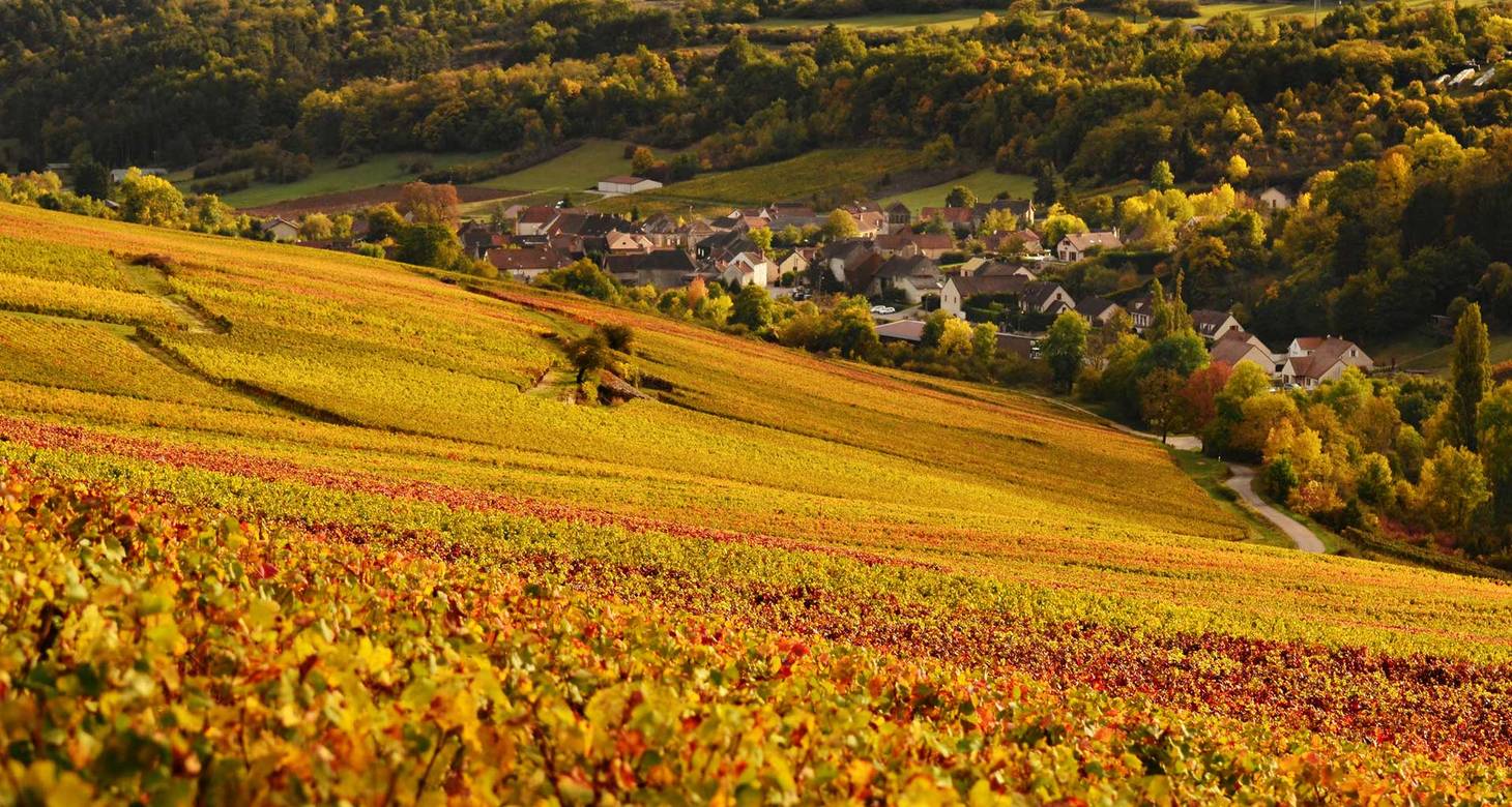 Sur la route des vins de France - 2026 - 6 - route des vins Château Bourgogne