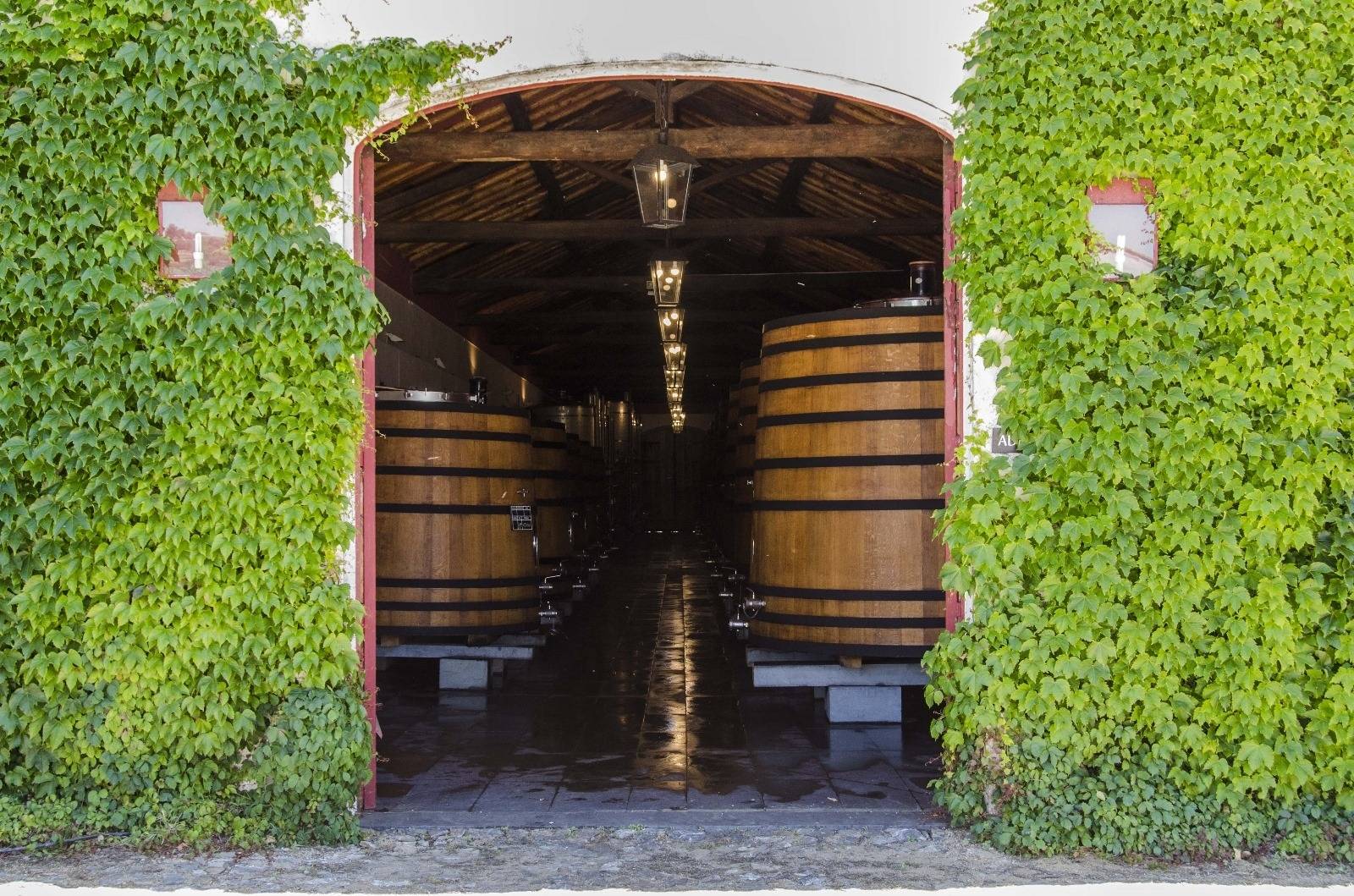 Sobre viticultores - Reynolds Wine Growers  - Foto - Winalist