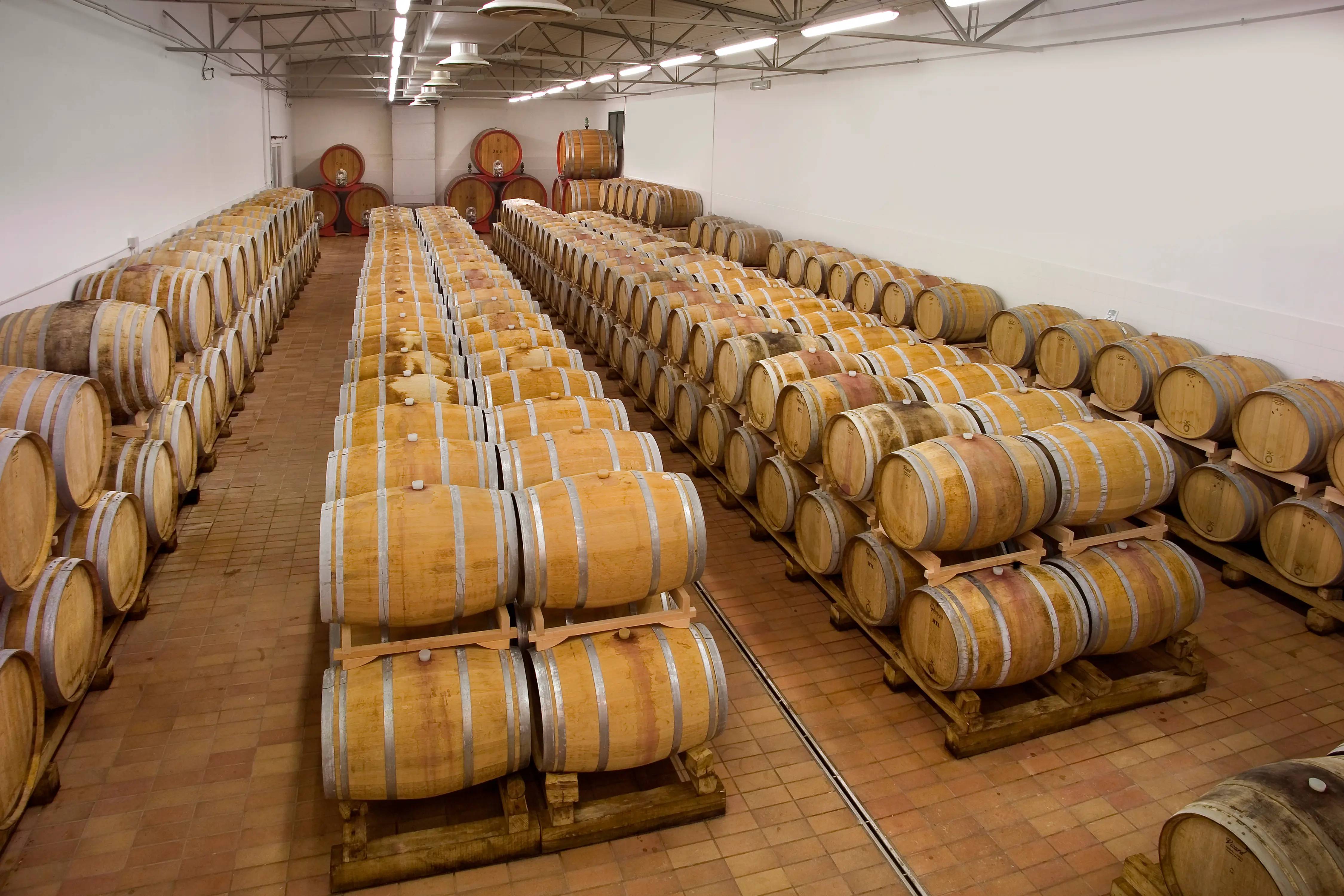 A Thousand Hectares in a Glass - Azienda Agricola Castello di Corbara - Winalist