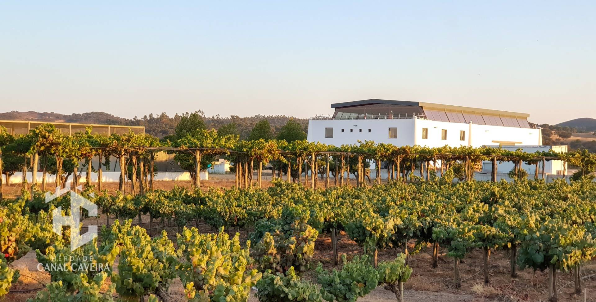 Herdade Canal Caveira - Winalist