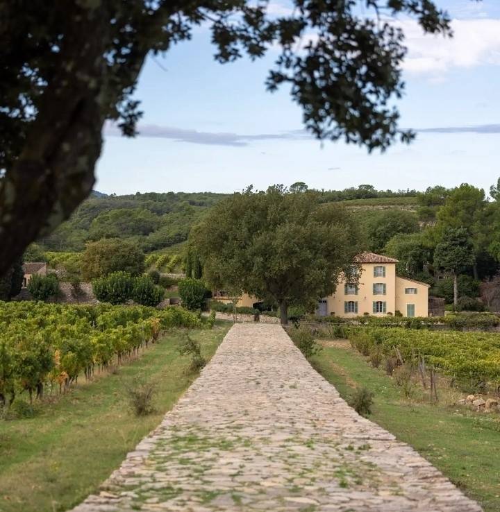 Château La Mascaronne - Winalist