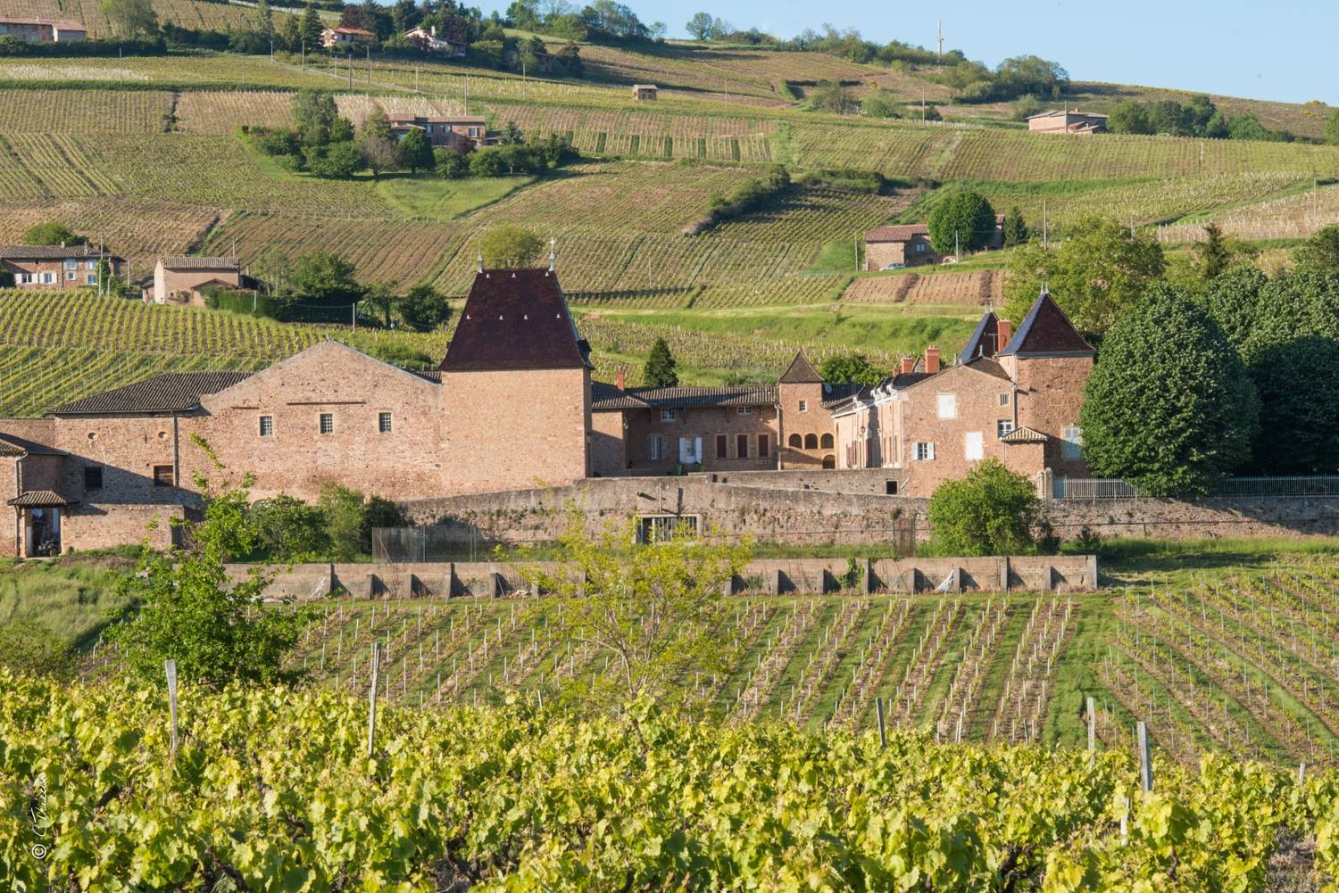 Beaujolais Wine Map: Guide to the Crus, Vineyards and Appellations - 2026 - 29 - beaujolais wine route, beaujolais wine map beaujolais wine route, beaujolais wine map - Beaujolais Wine Map: Guide to the Crus, Vineyards and Appellations - 2026 - 28
