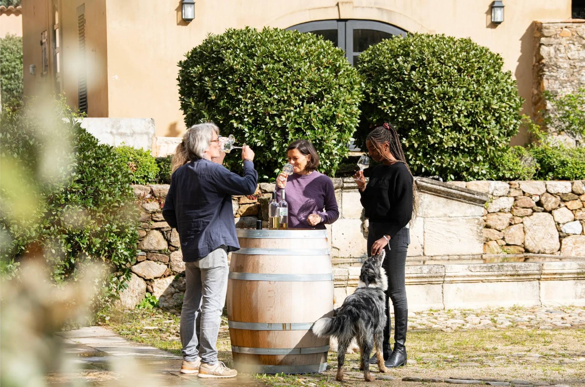 Dégustation et visite