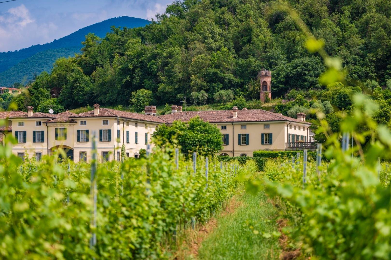 Antica Fratta - Winalist