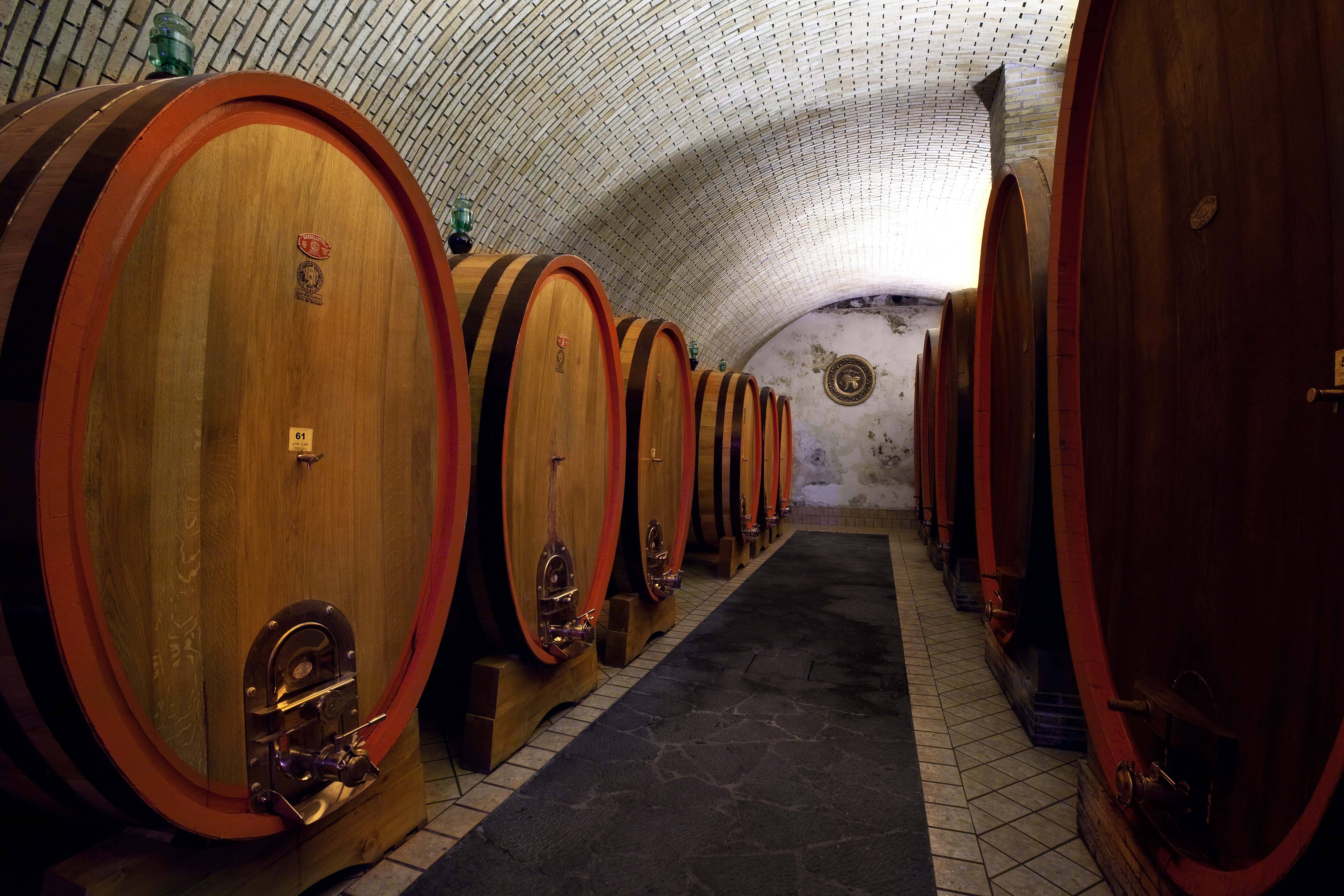 Etna Wine Experience : guided tour and tasting