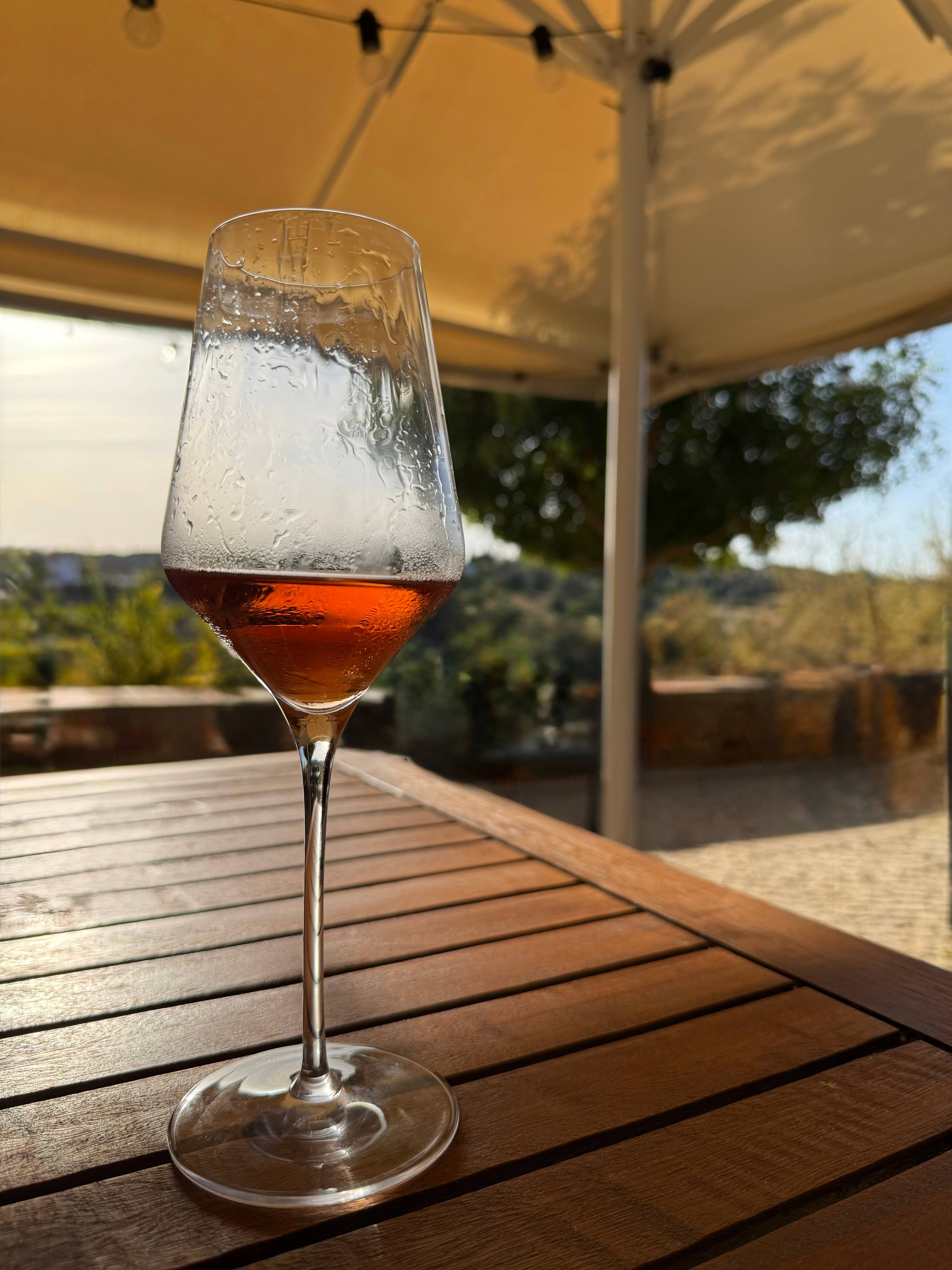 Tour Guiado e Prova de Vinhos no Coração da Vinha