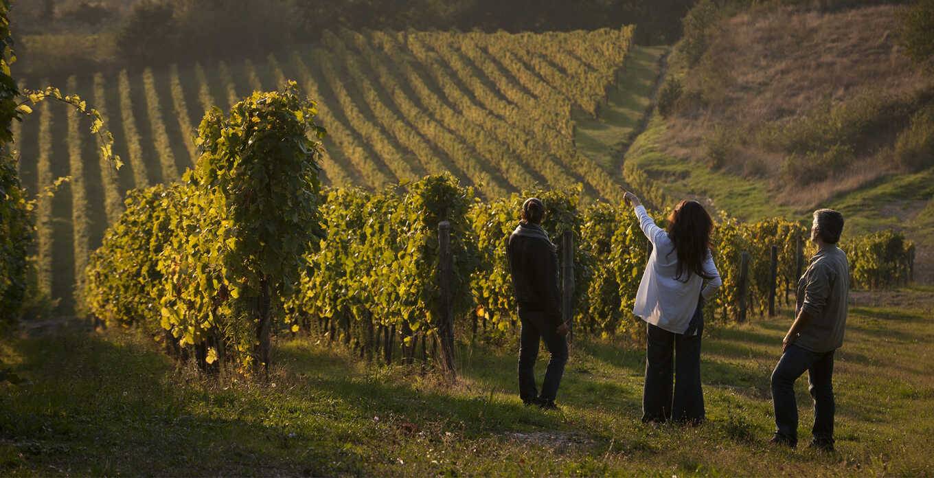 Things to Do in Molise - Unmissable Things to Do in Molise: Discover Central Italy - 2025 - 21