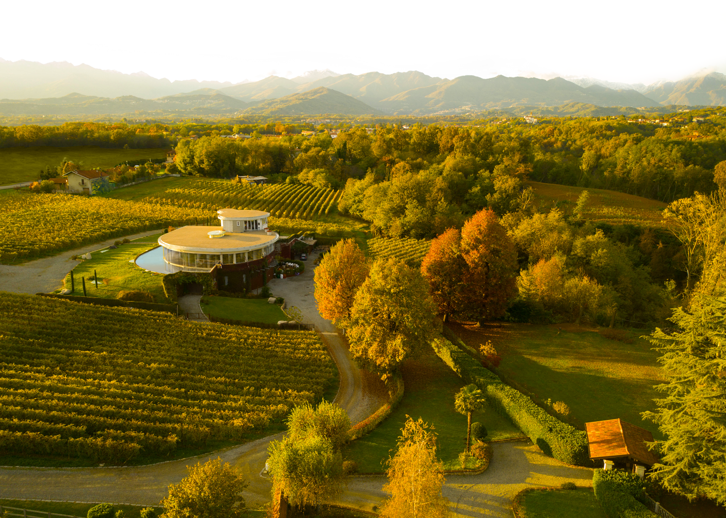 Pietro Cassina - Winalist