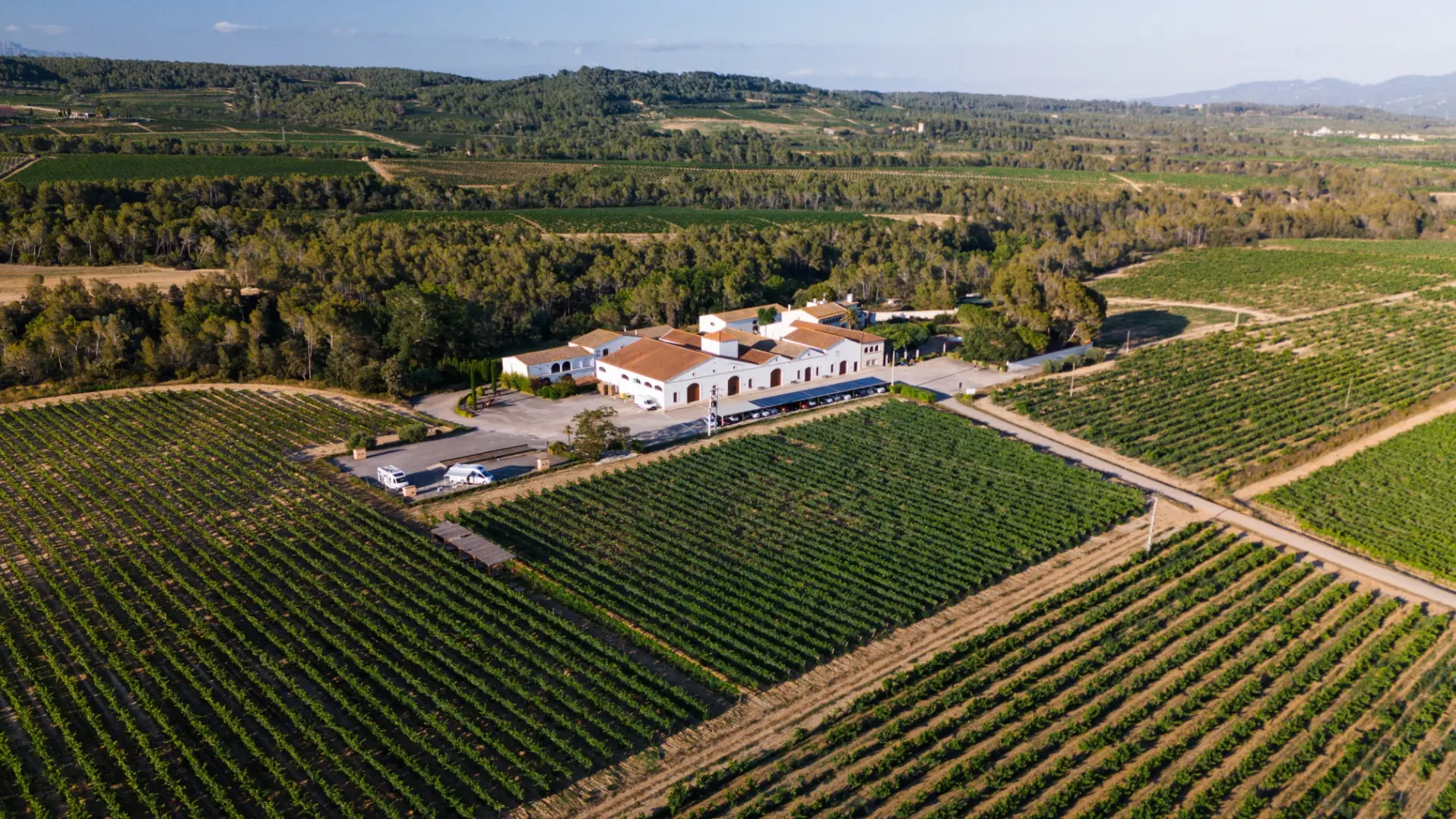 Caves Nadal - Corpinnat - Winalist