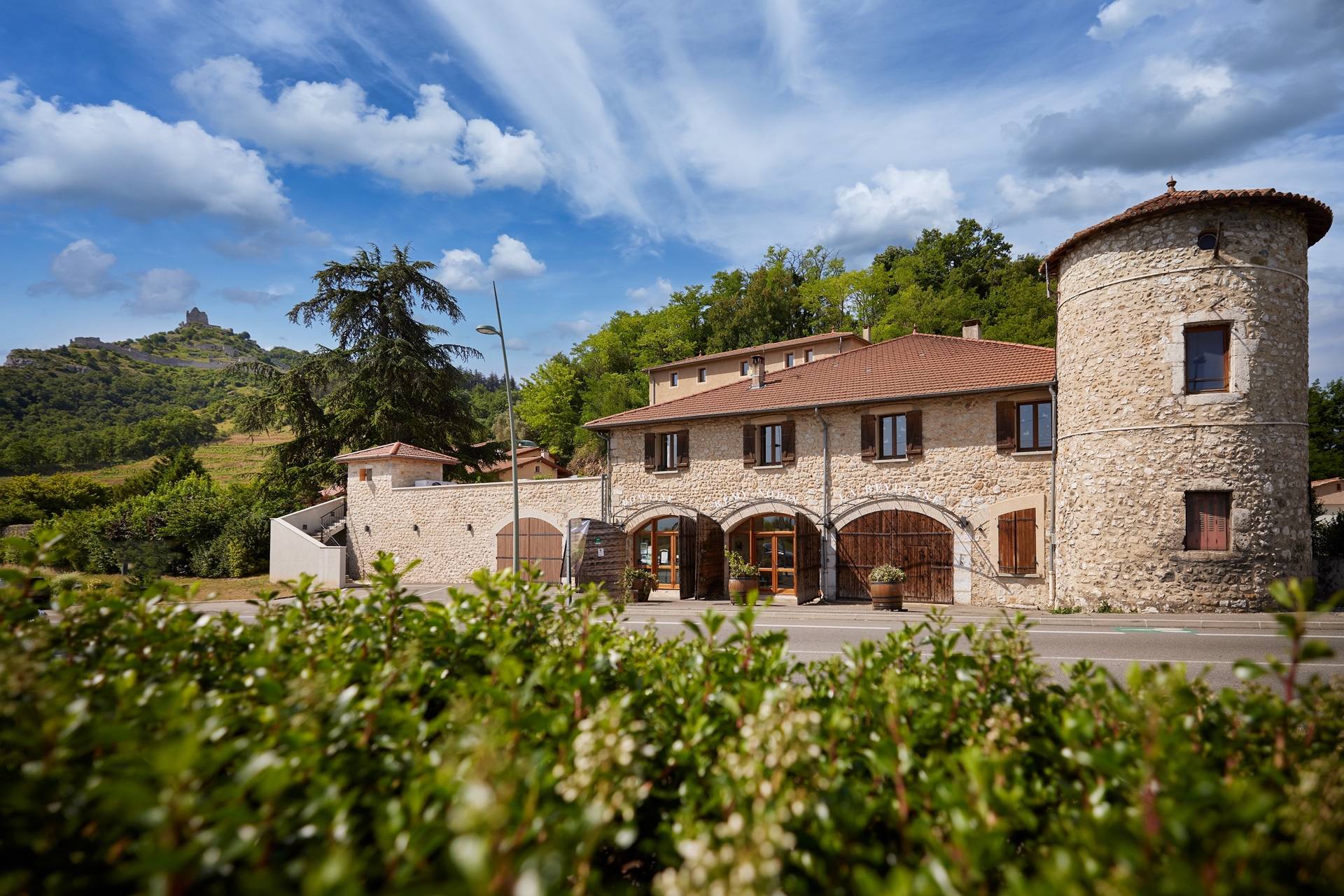 Domaine Rémy Nodin - Winalist