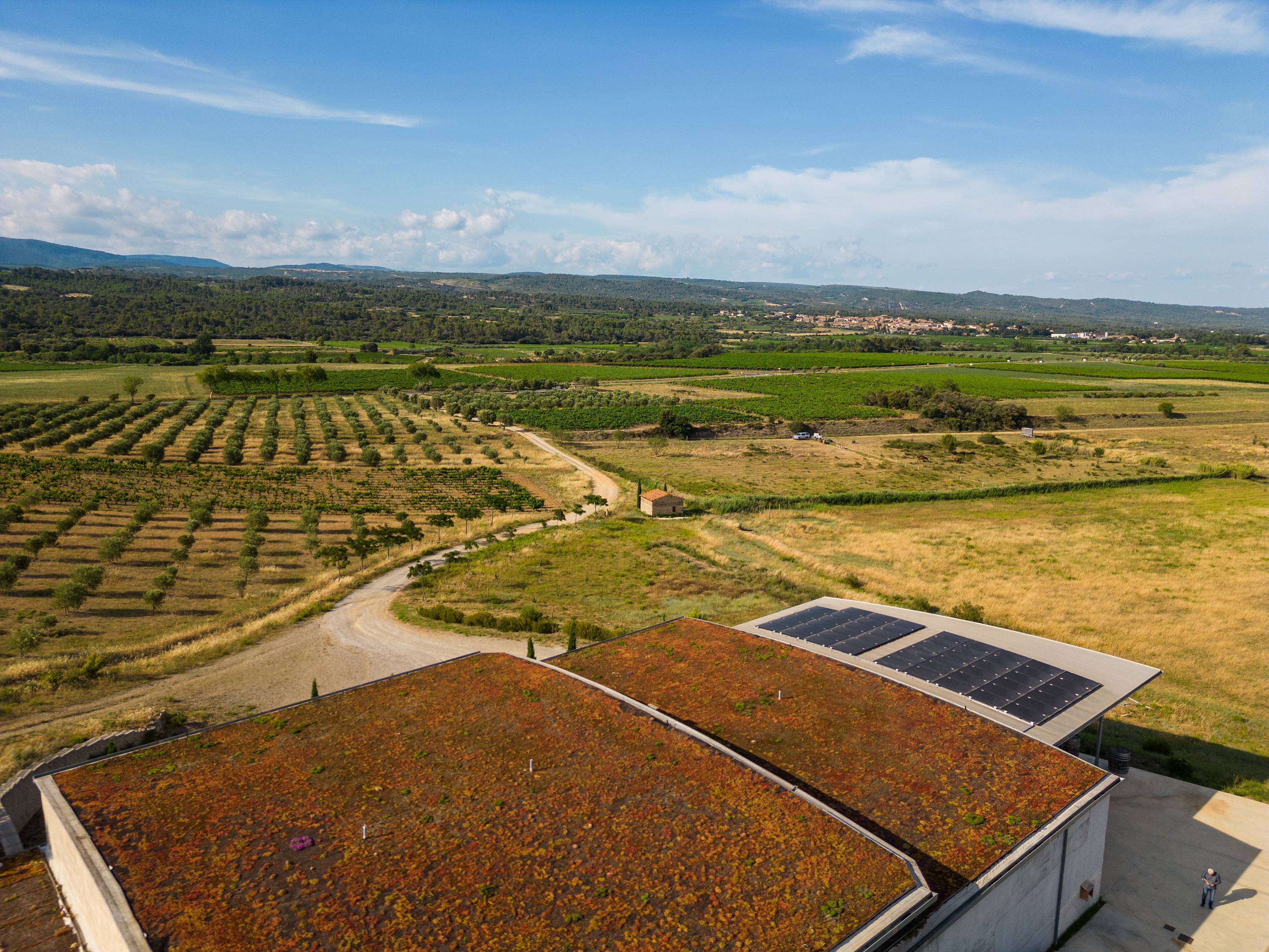 Tasting & visit of our unique cellar in the world