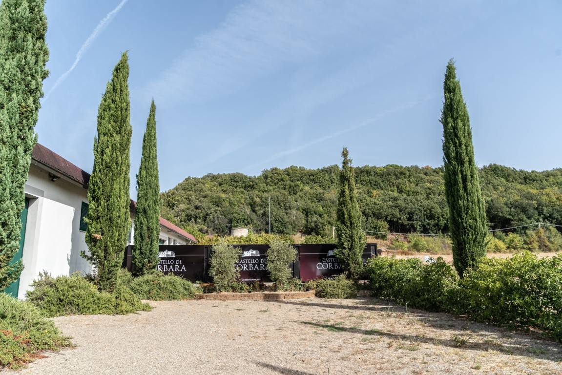 The Counts of Montemarte - Azienda Agricola Castello di Corbara - Winalist
