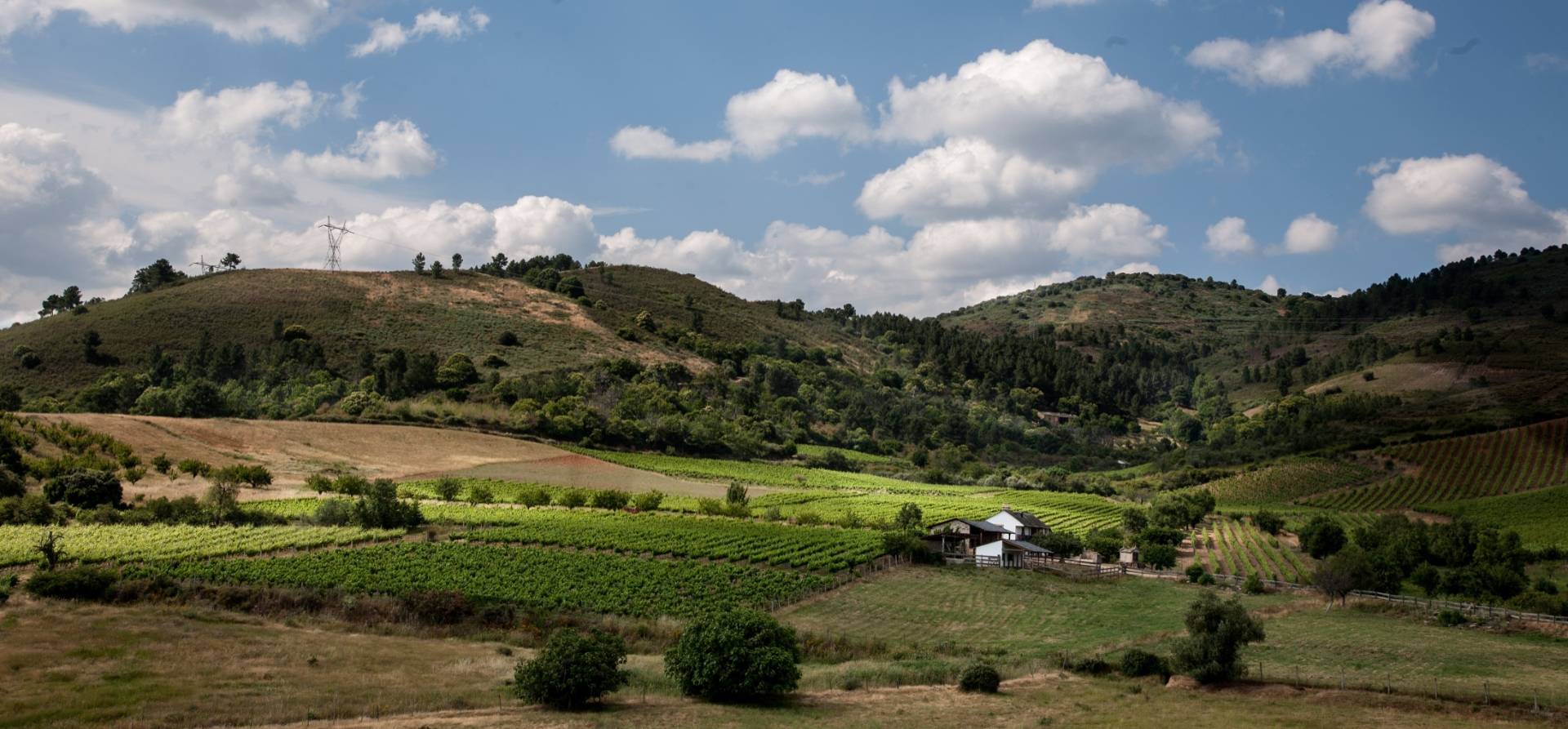 Bodega Luna Beberide  - Winalist