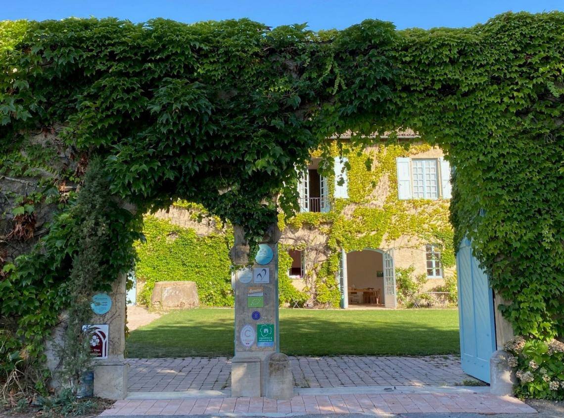 Picnic basket in the organic vineyards