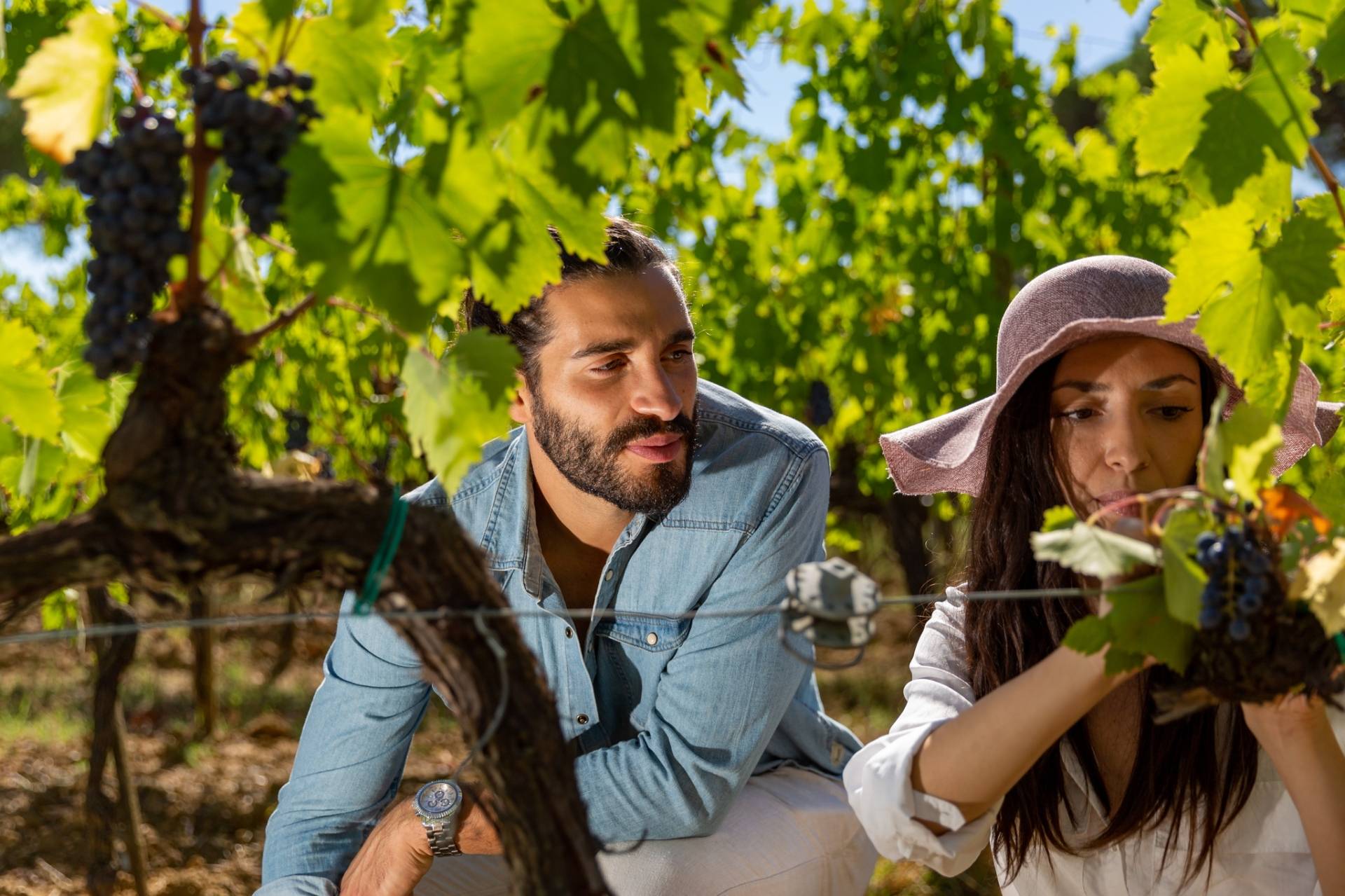 Visiter Citta della Pieve : Joyau artistique sur les collines de l’Ombrie - 2026 - 18 - citta della pieve citta della pieve - Visiter Citta della Pieve : Joyau artistique sur les collines de l’Ombrie - 2026 - 17