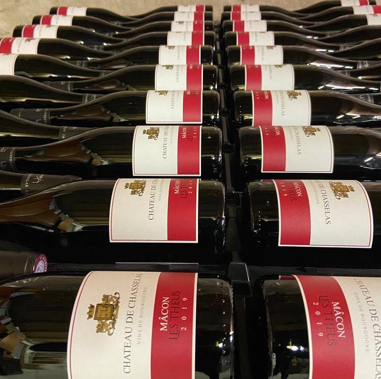 Tasting of our Burgundies and our Beaujolais