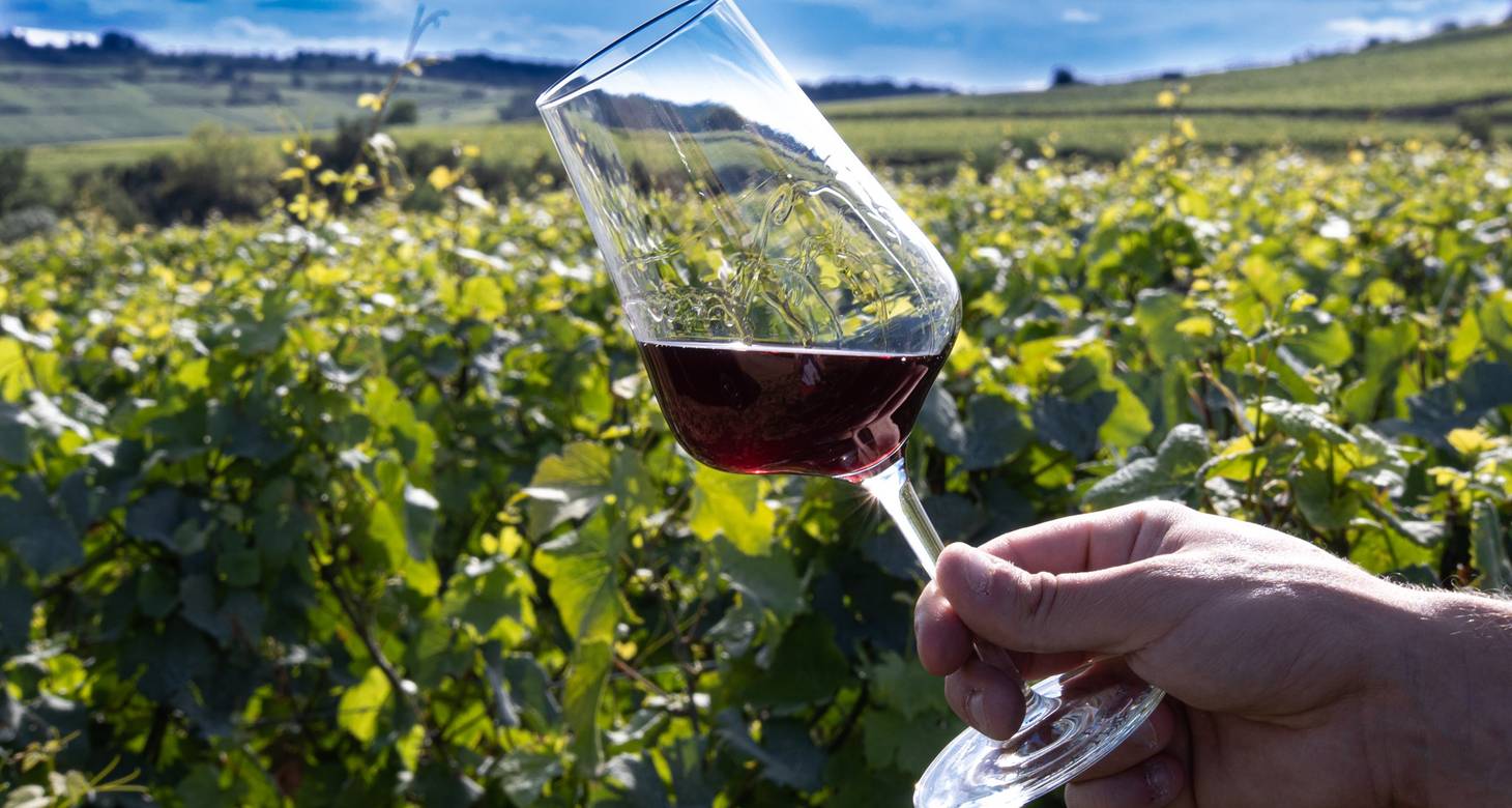 Visiter Beaune et ses incontournables : Capitale des Vins de Bourgogne - 2026 - 26 - visiter beaune visiter beaune - Visiter Beaune et ses incontournables : Capitale des Vins de Bourgogne - 2026 - 25