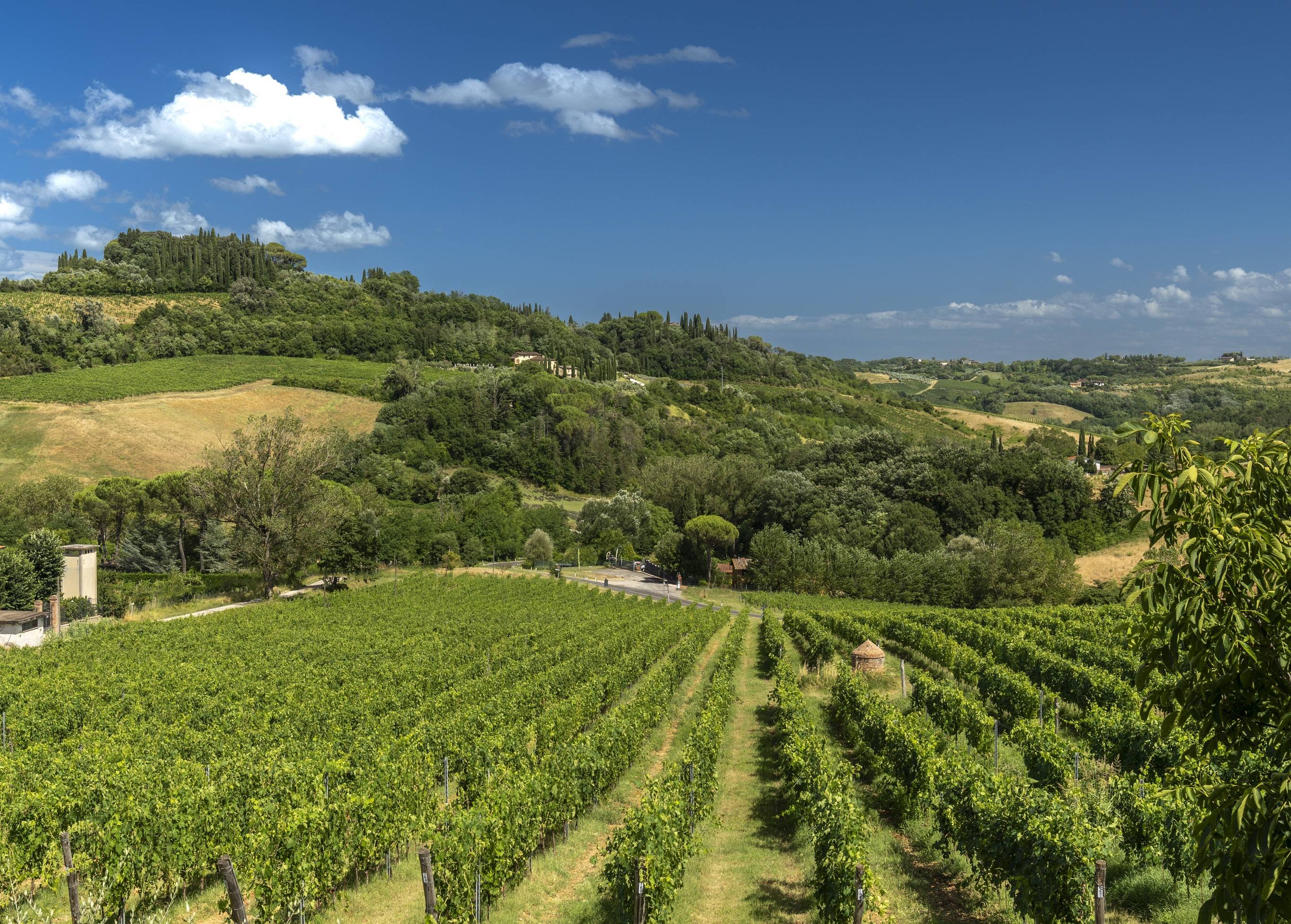 De fantastische zeven - Tenuta Sovestro   San Gimignano - Winalist