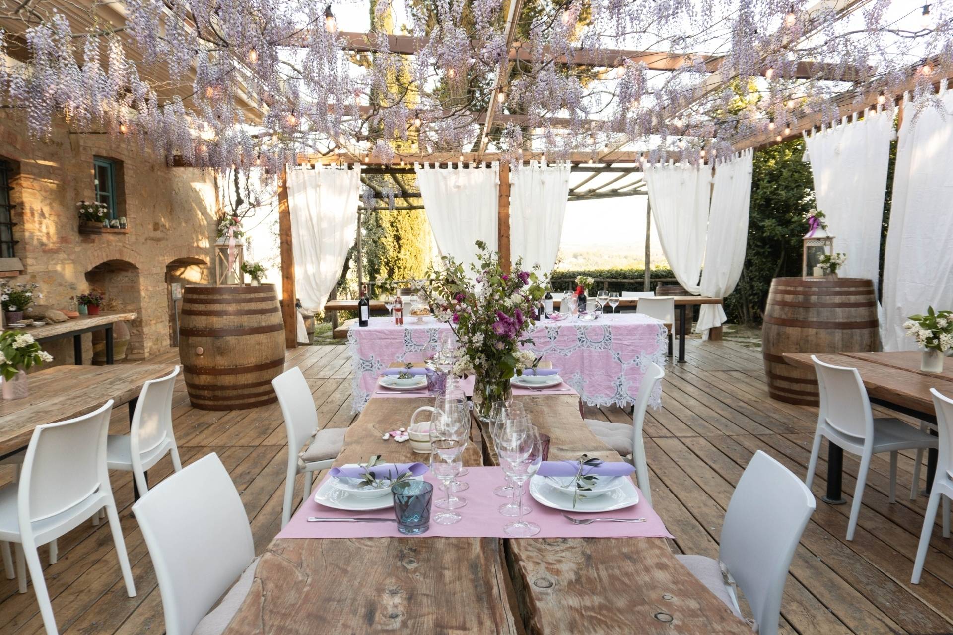 Visit to an organic winery with pairings