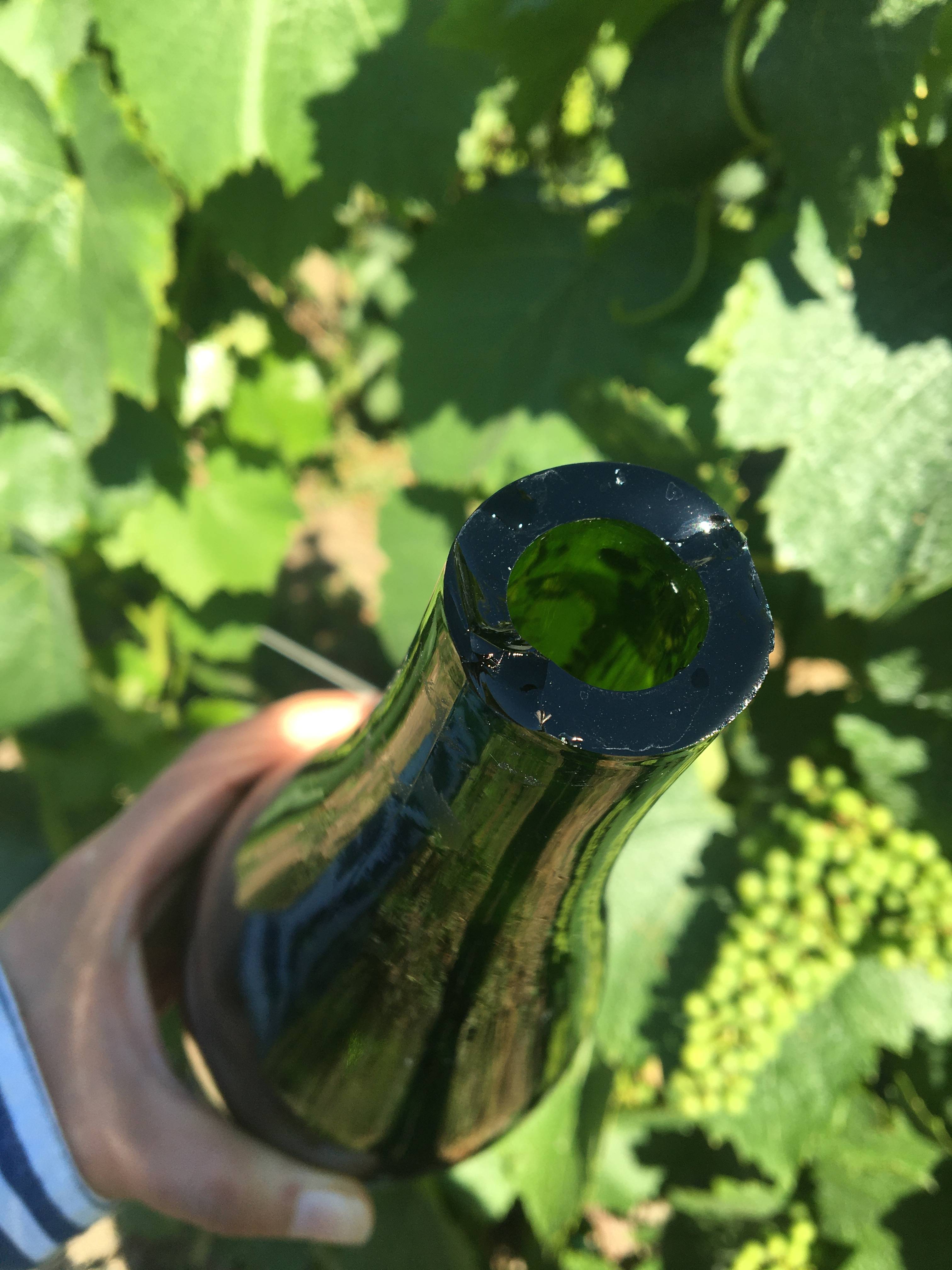 Champagne Sabering Demonstration & Tasting