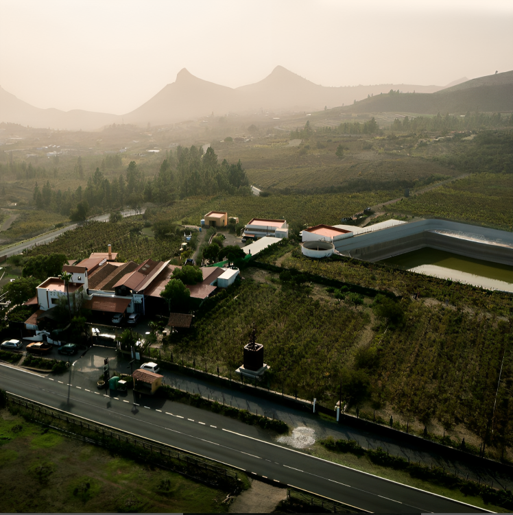 Bodegas Reverón - Winalist