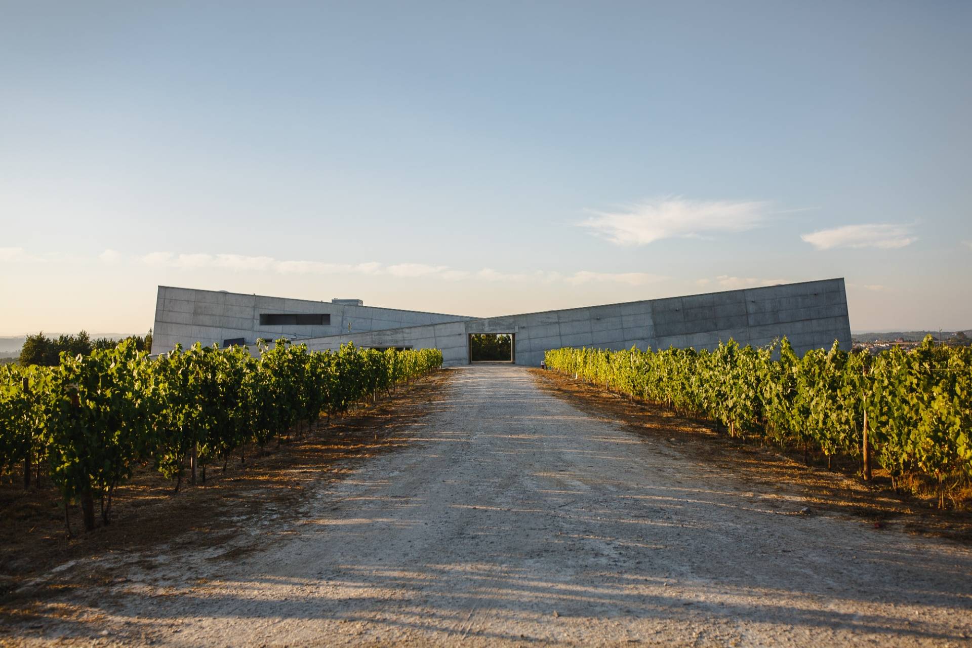 Caminhos Cruzados - Winalist