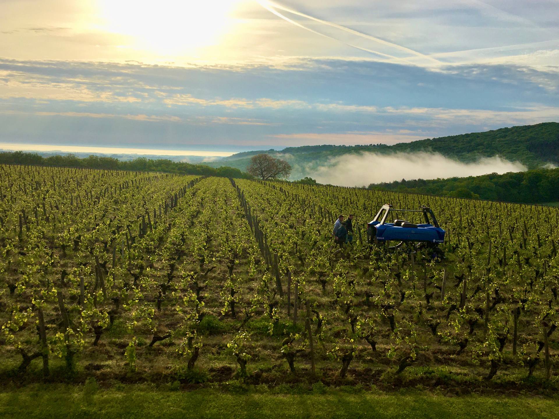 Domaine Joseph Lafarge - Winalist
