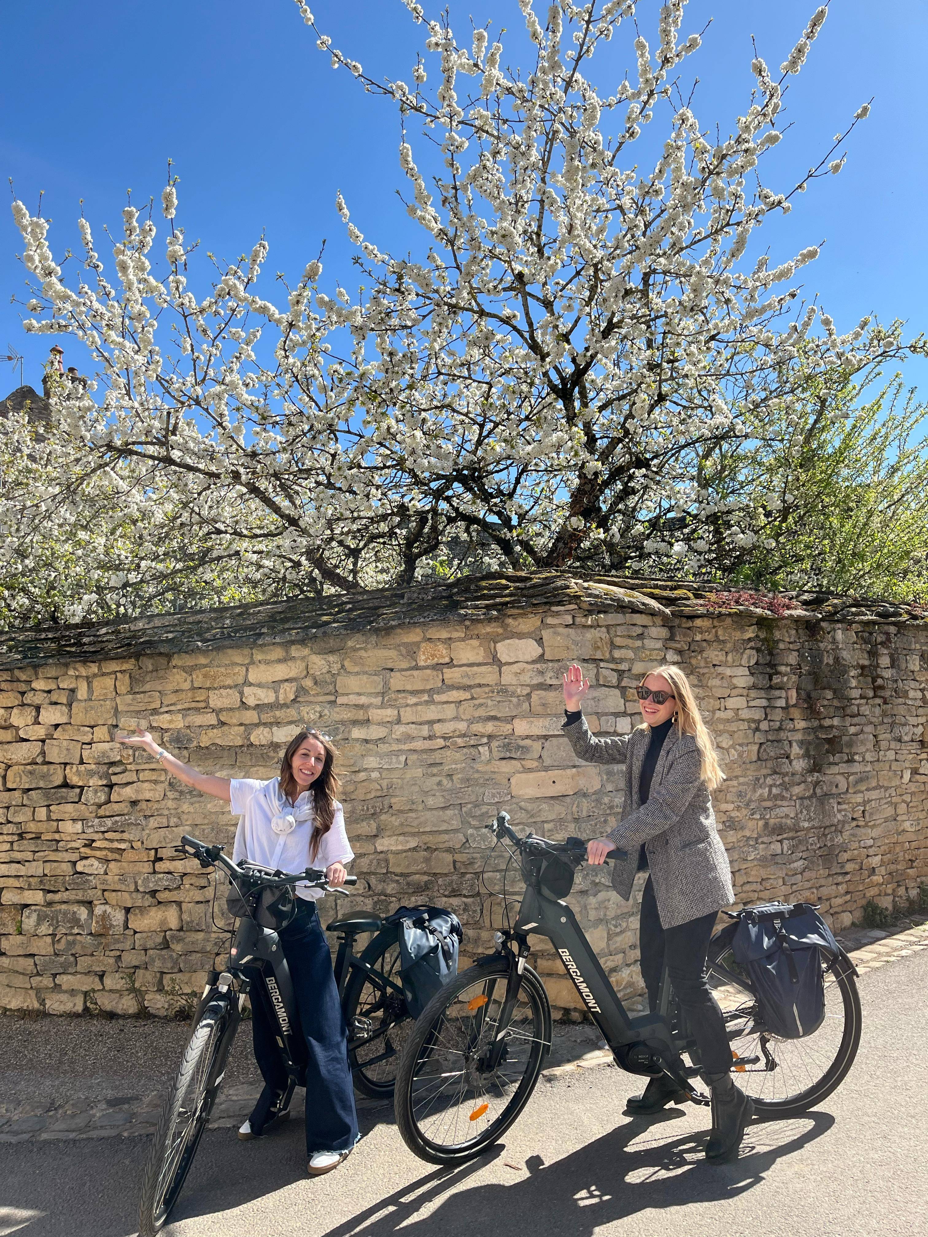 Vanuit Dijon: elektrische fietsdag en lunch