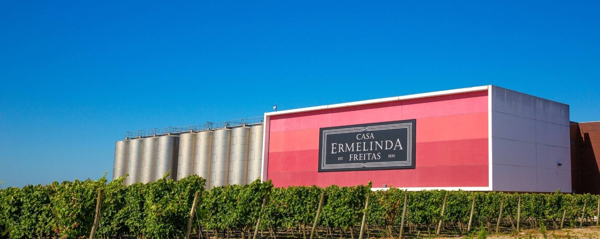 Casa Ermelinda Freitas - Vinhos - Winalist