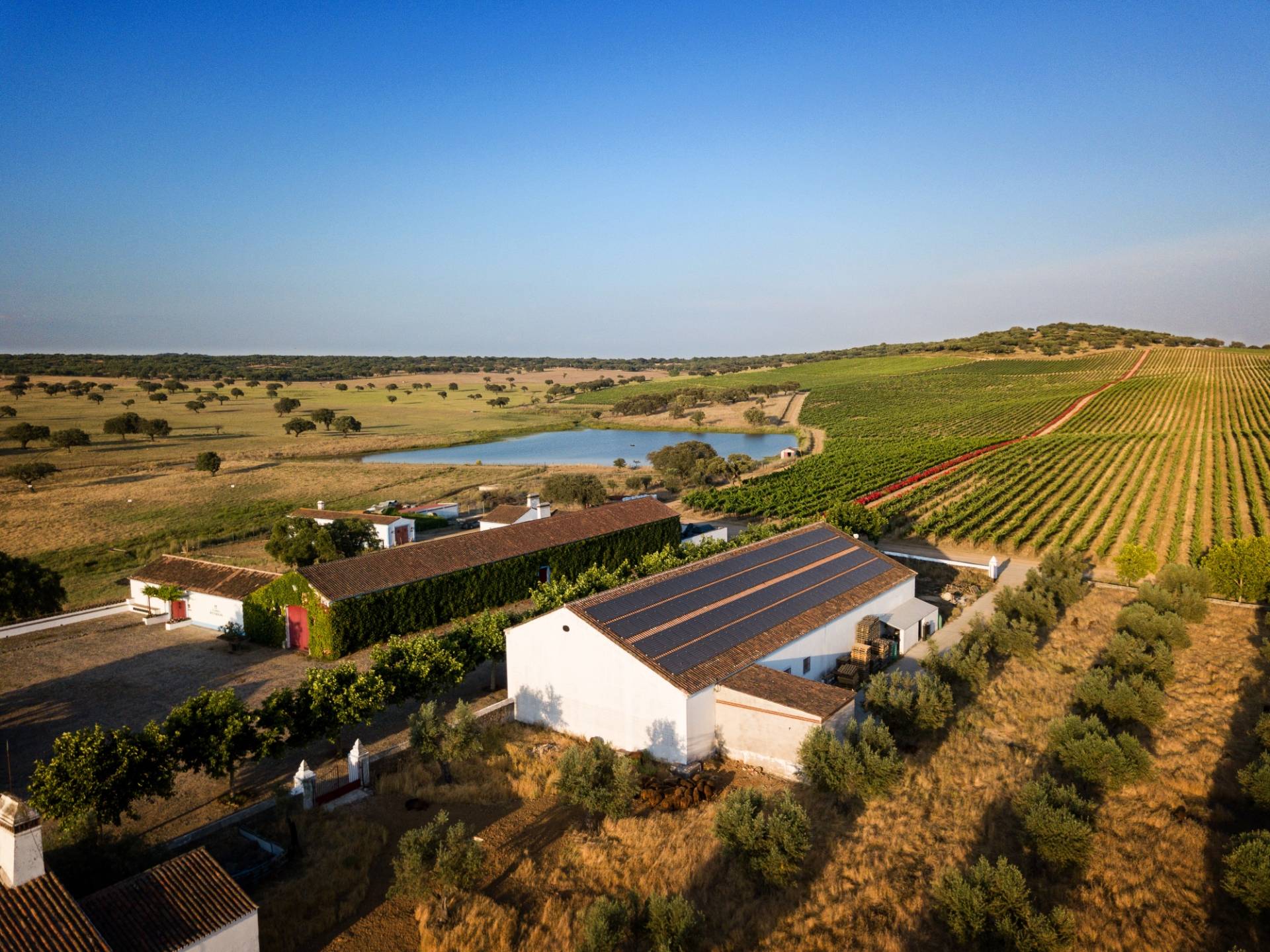 Reynolds Wine Growers  - Winalist