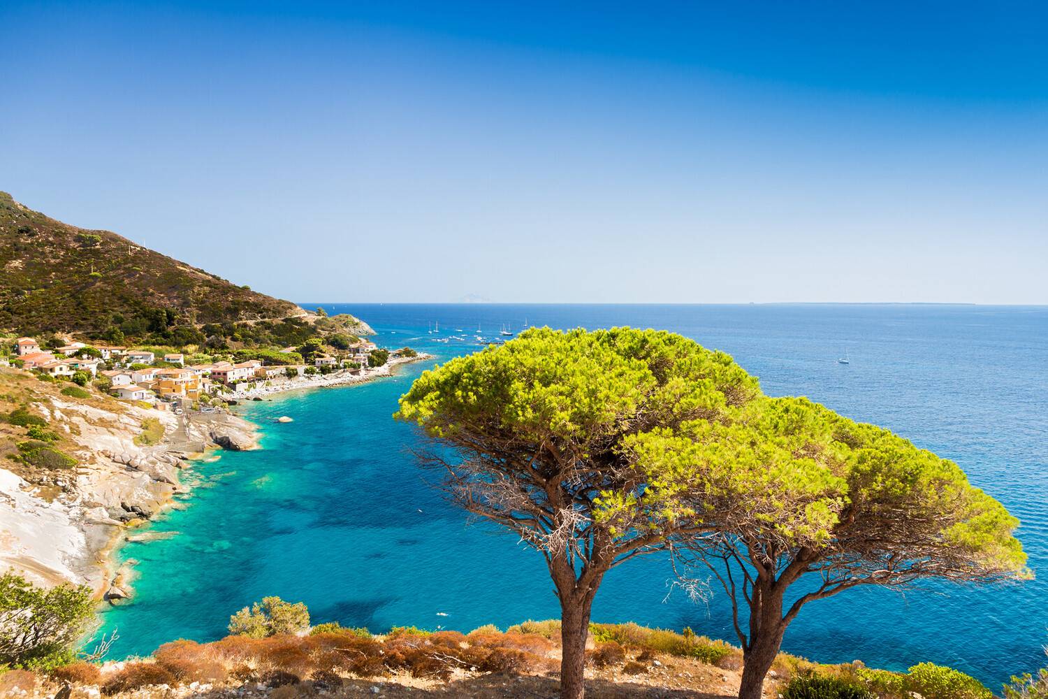 Visit Elba Island Italy: Al...