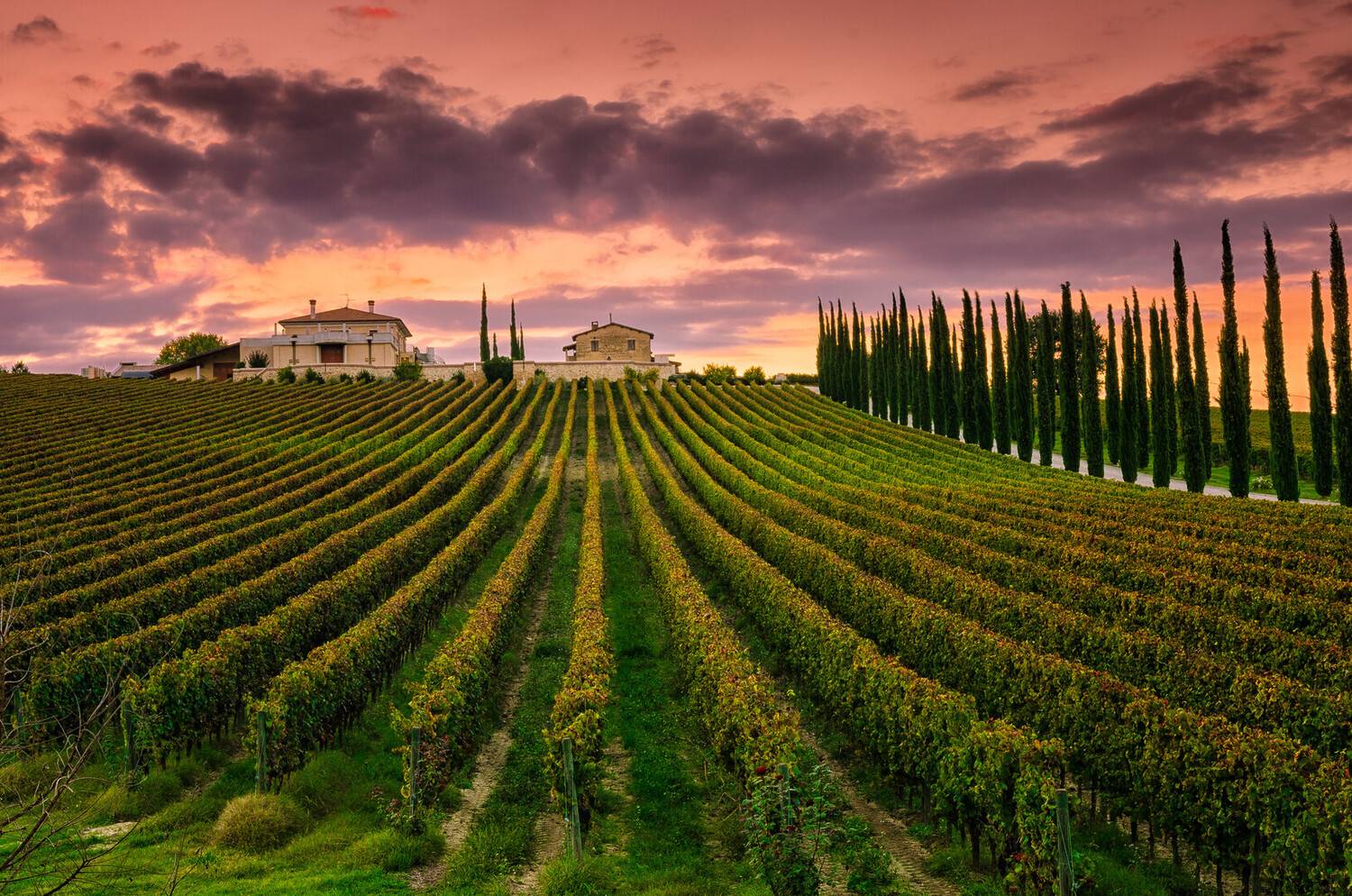 Best Places to Visit in Umb...
