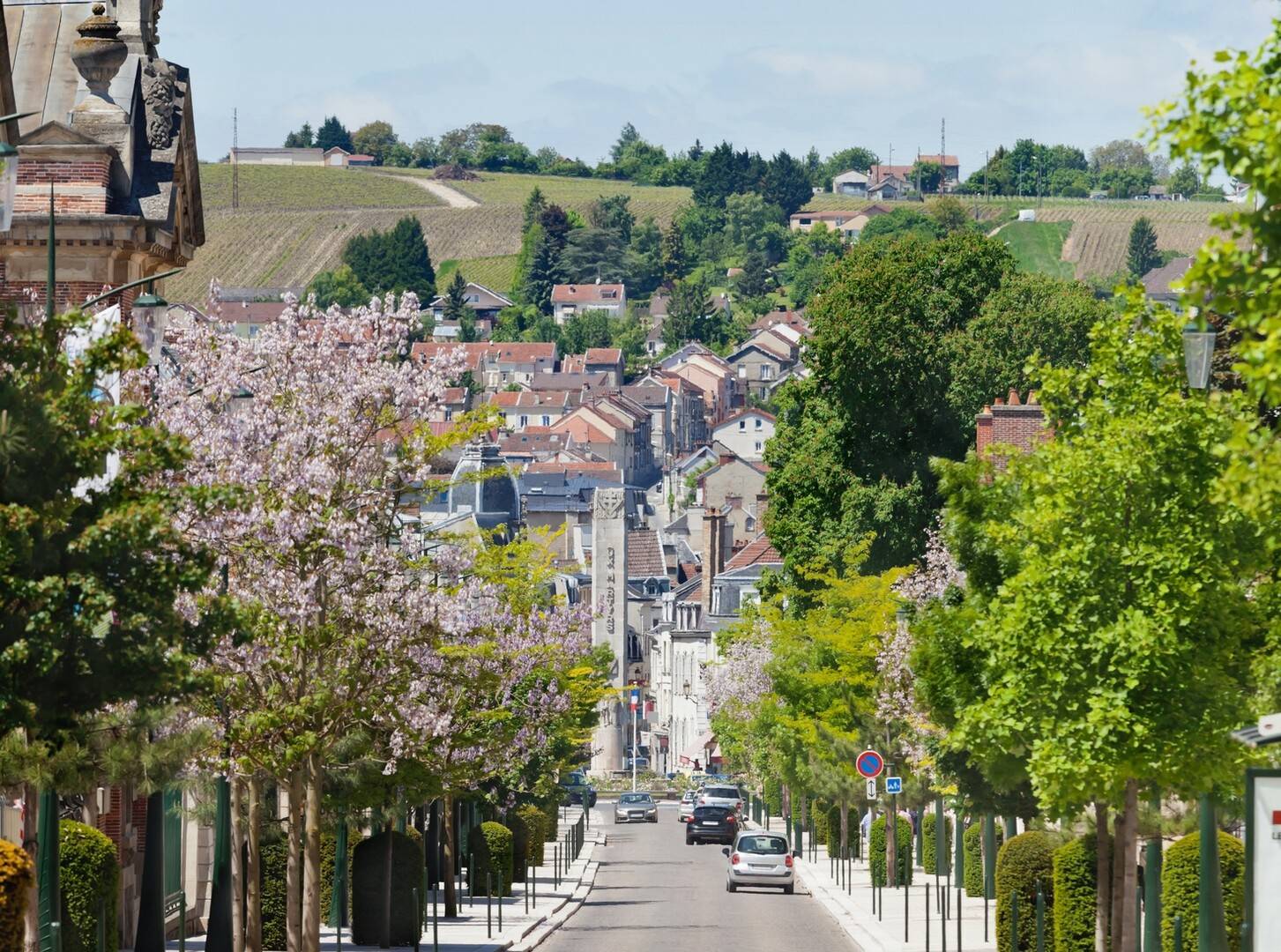 Visiting Epernay: Best thin...