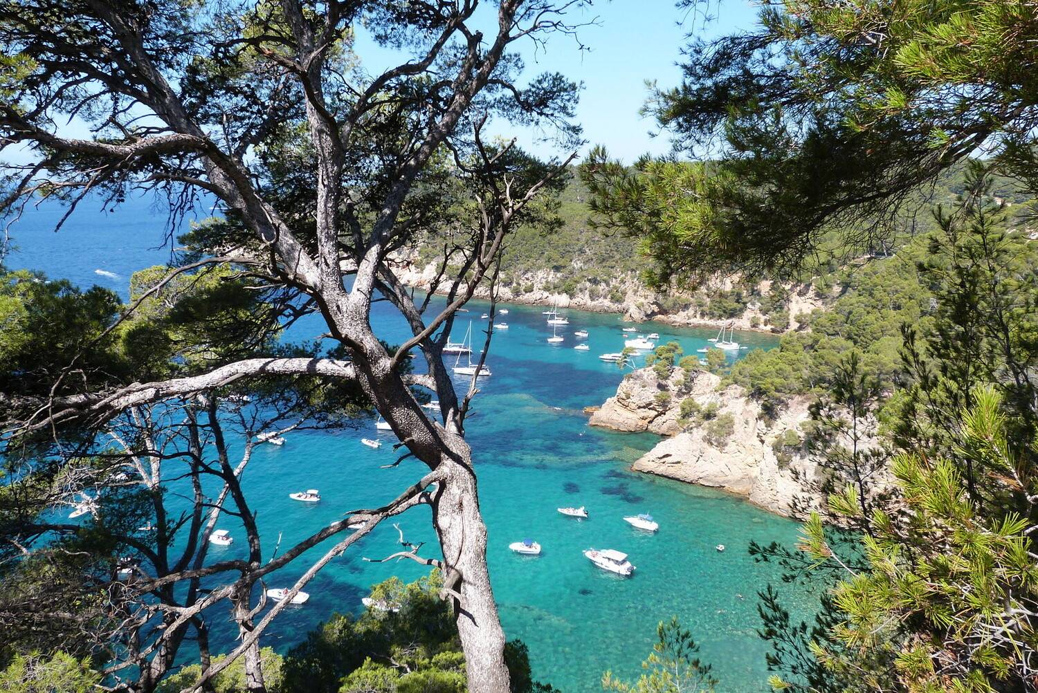 Visit Bandol: TOP 10 things...