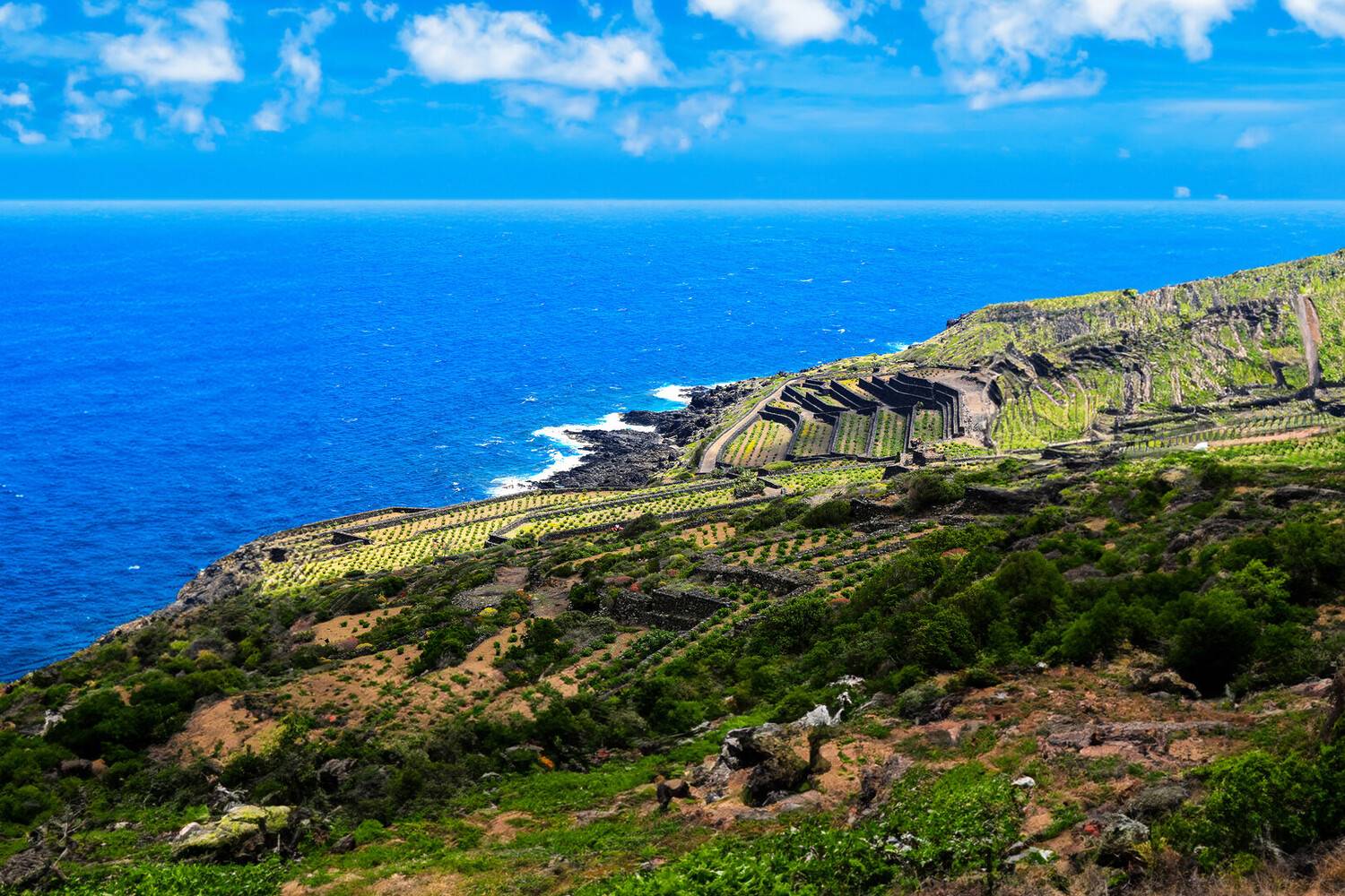 Visit Pantelleria Italy: Pl...
